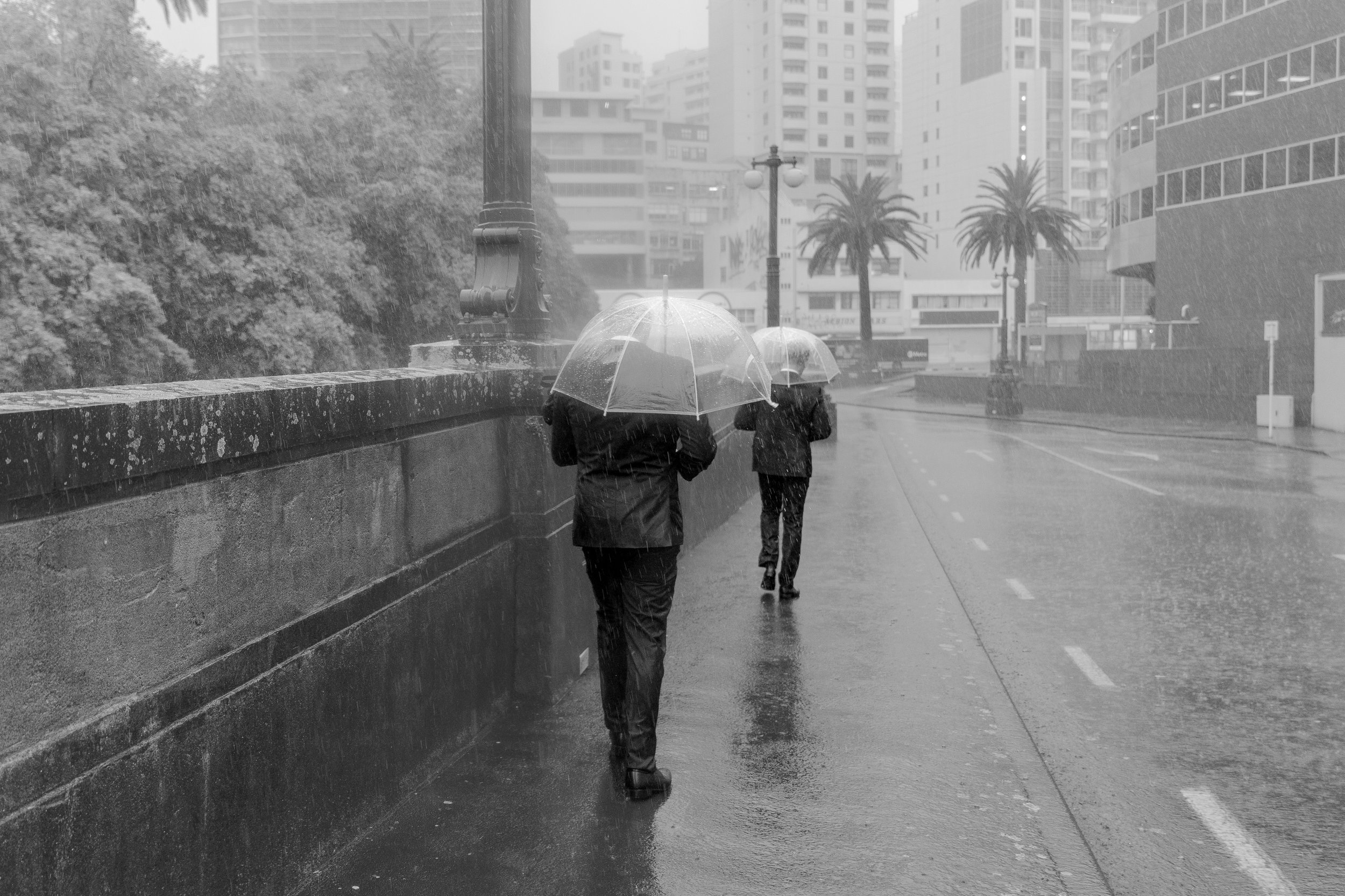 Groomsmen walking in the rain with umbrellas