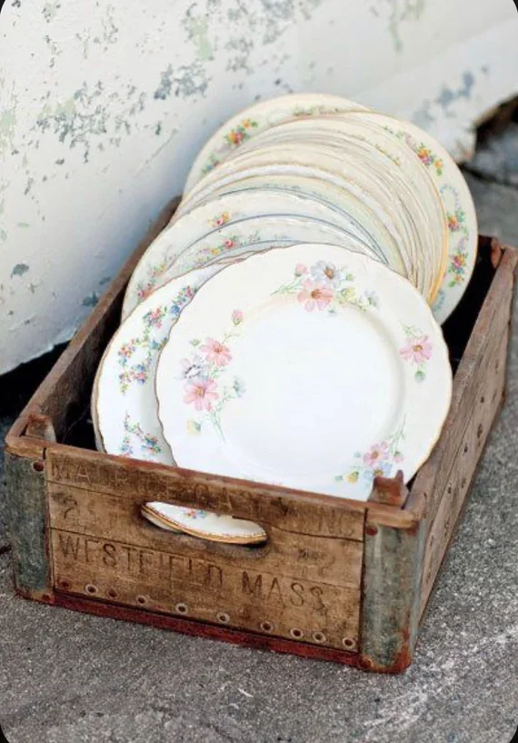 Mismatched China Dinner Plates