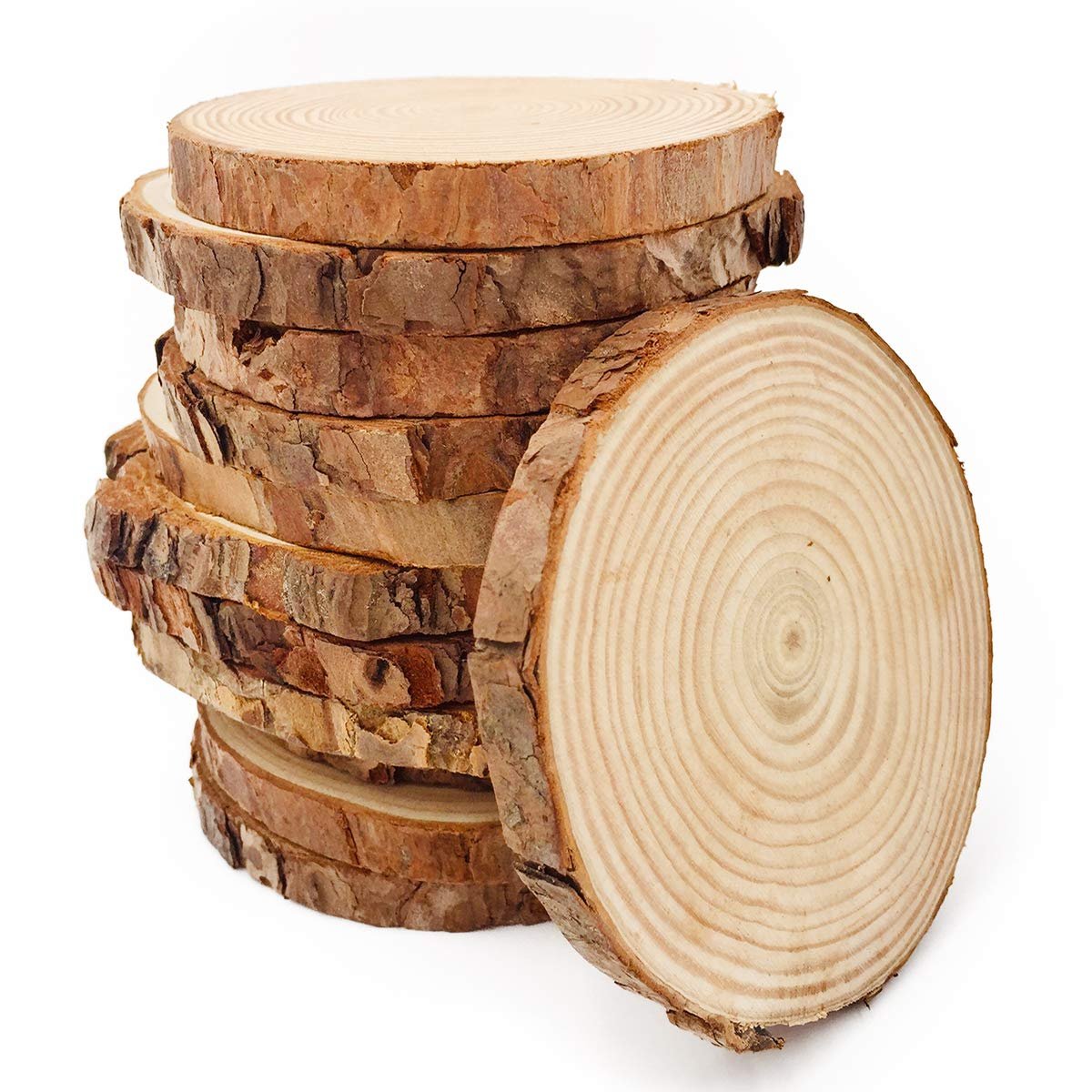 Wooden Tree Slices