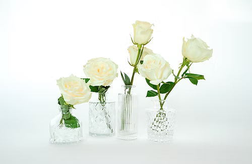 Screenshot 2025-12-04 at 11-38-13 Misc. Bud Vases Sage Hill Rentals.png