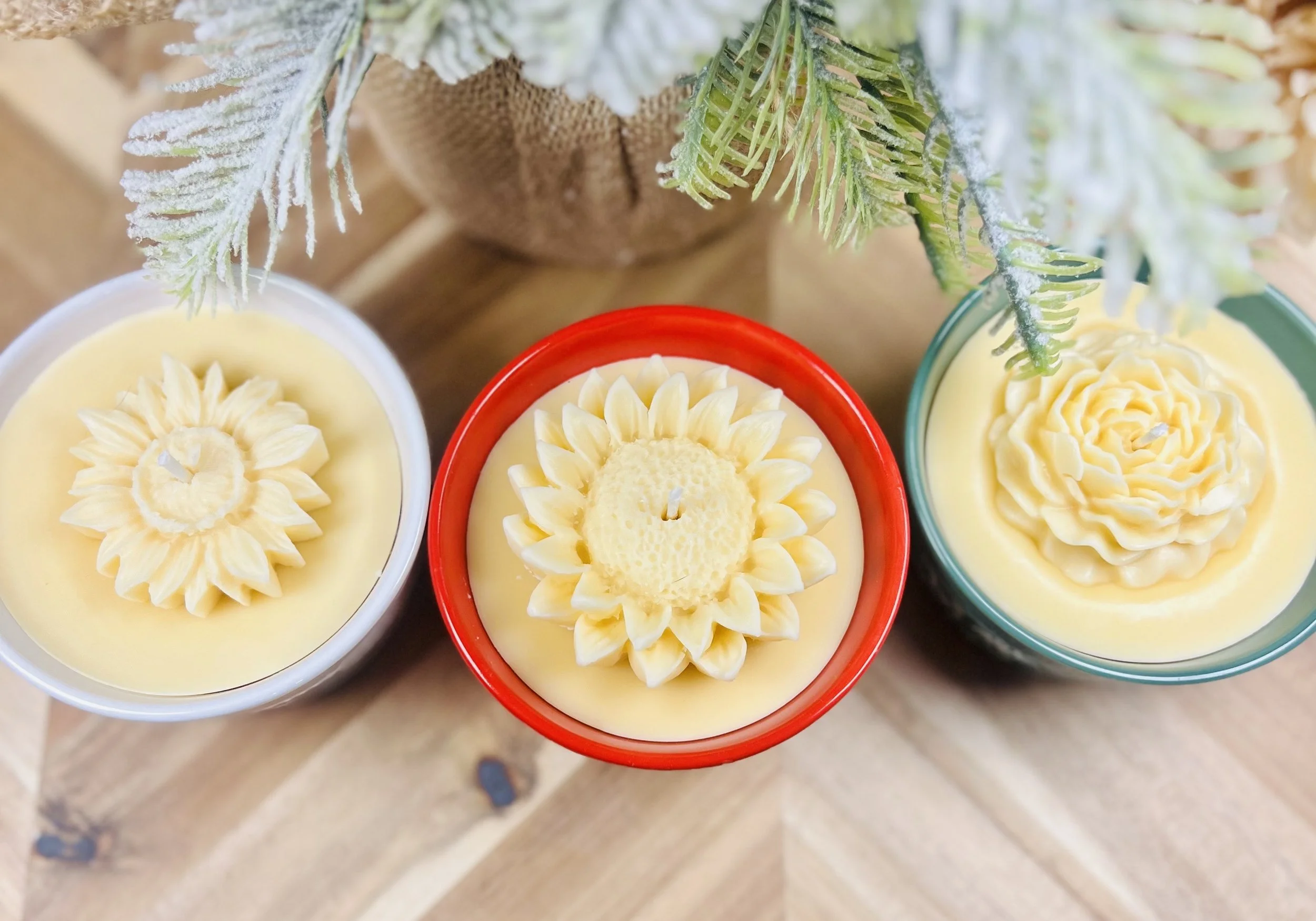 IMG_7596.jpeg (Copy)