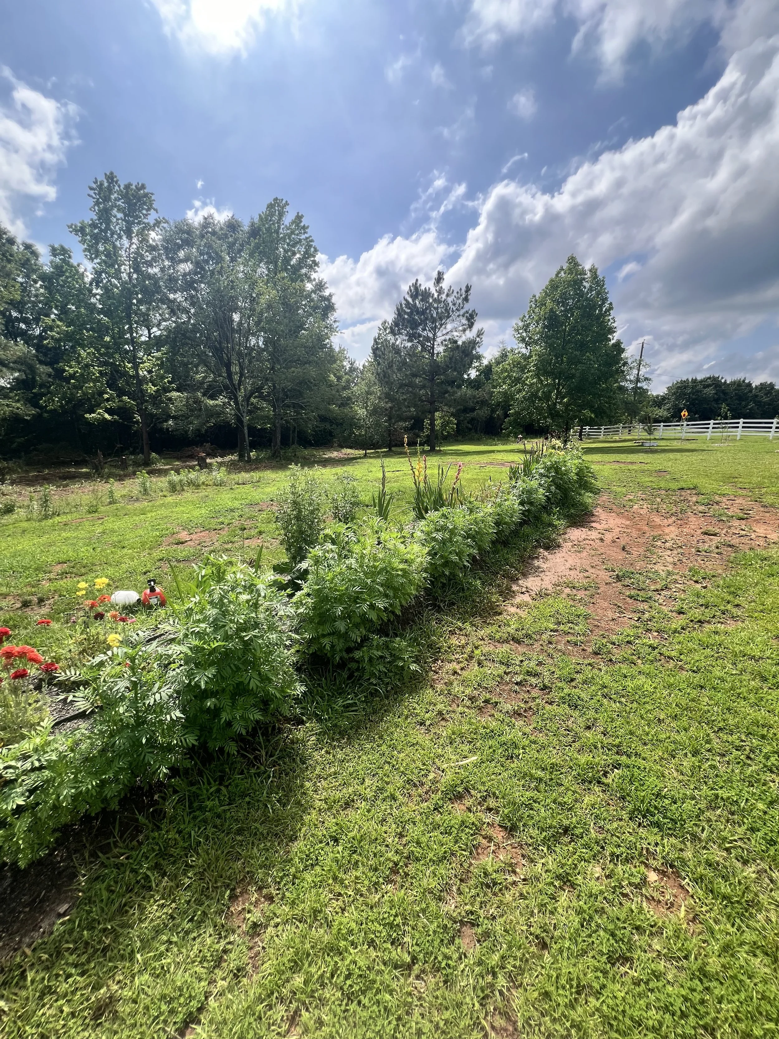 The flower garden is the largest flower garden we have ever done. It may not look like in the photos but it is 5 ft wide by 150ft long!