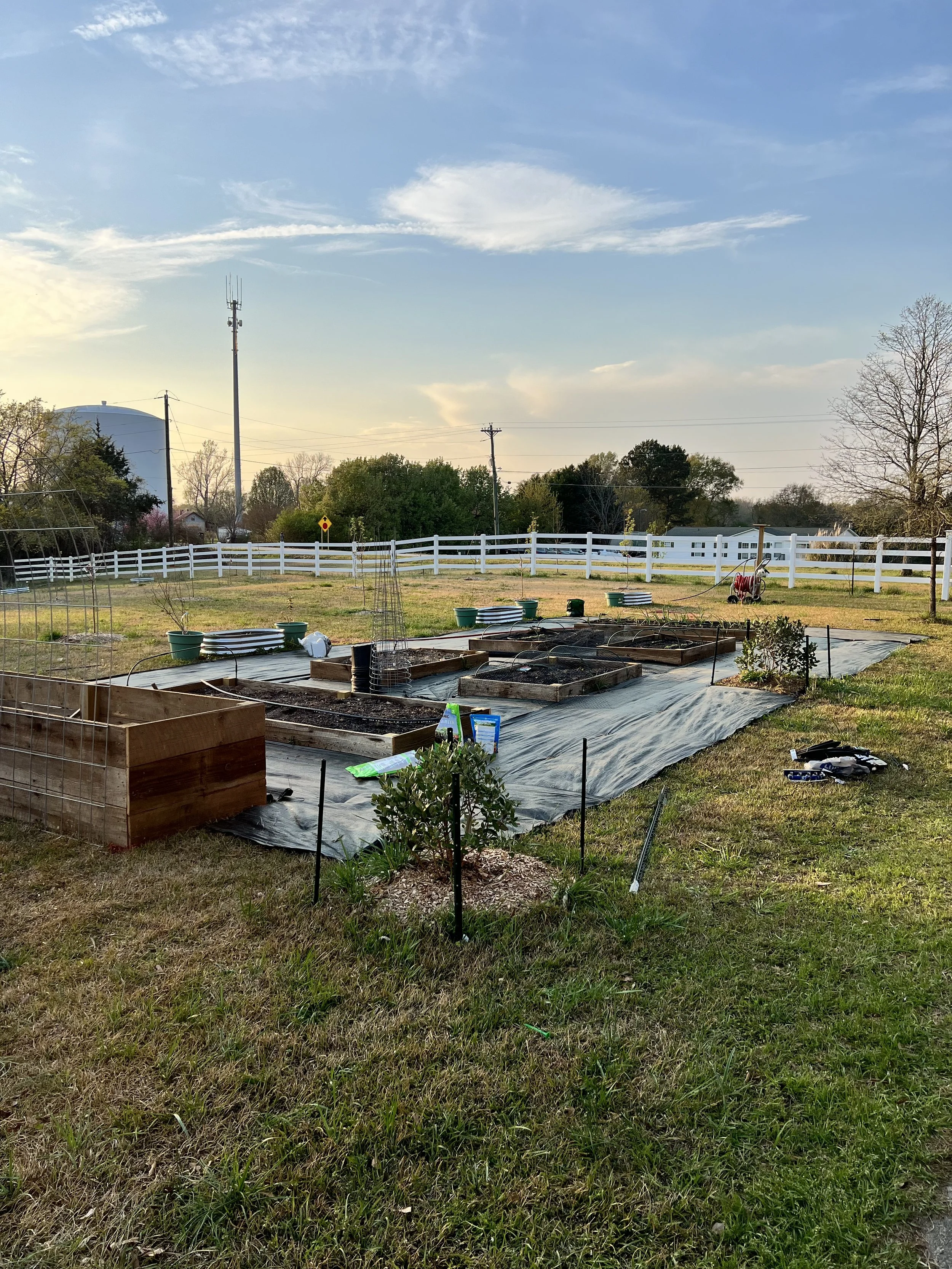 Beginning of the raised garden