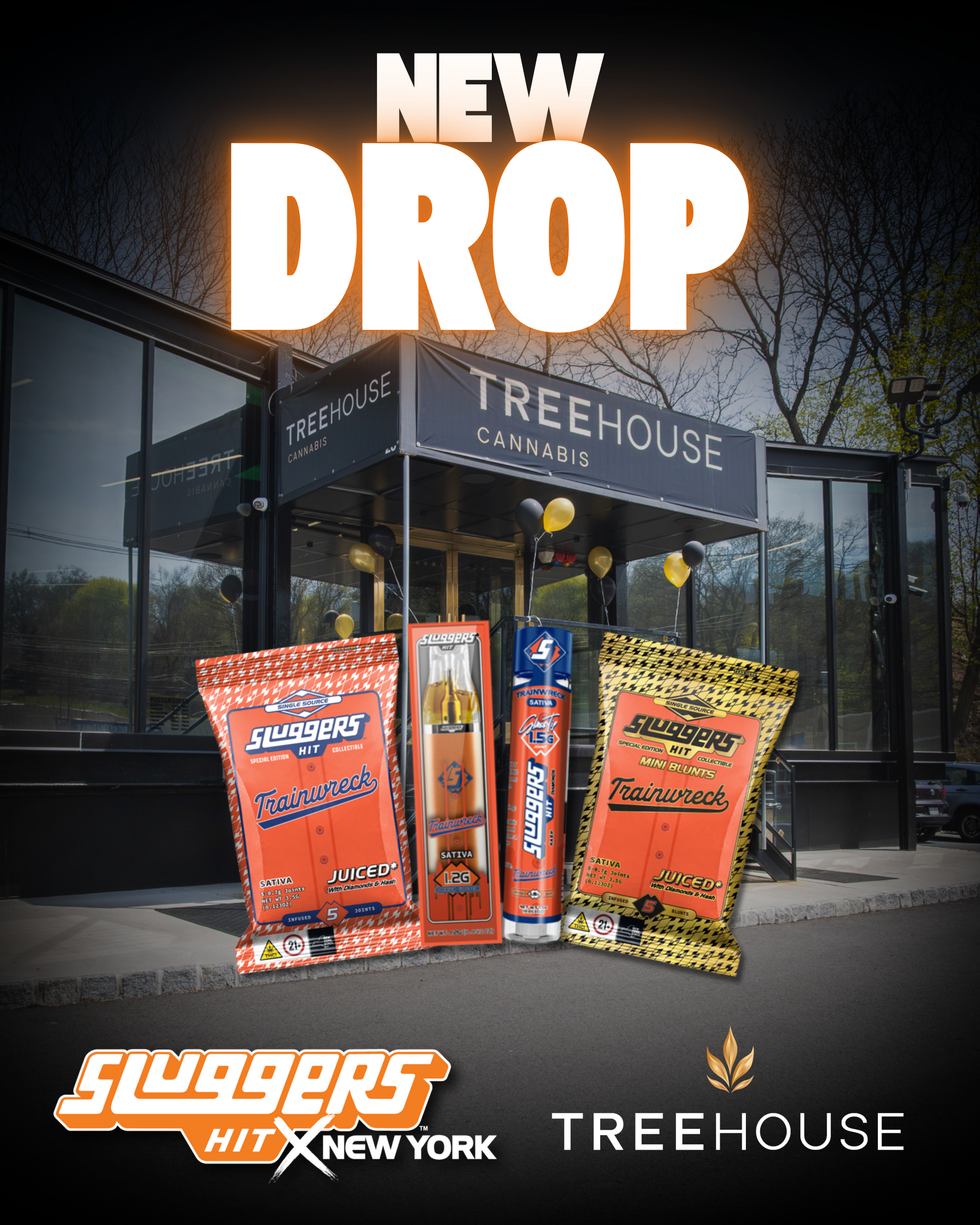 SLUGGERS DROP copy.png