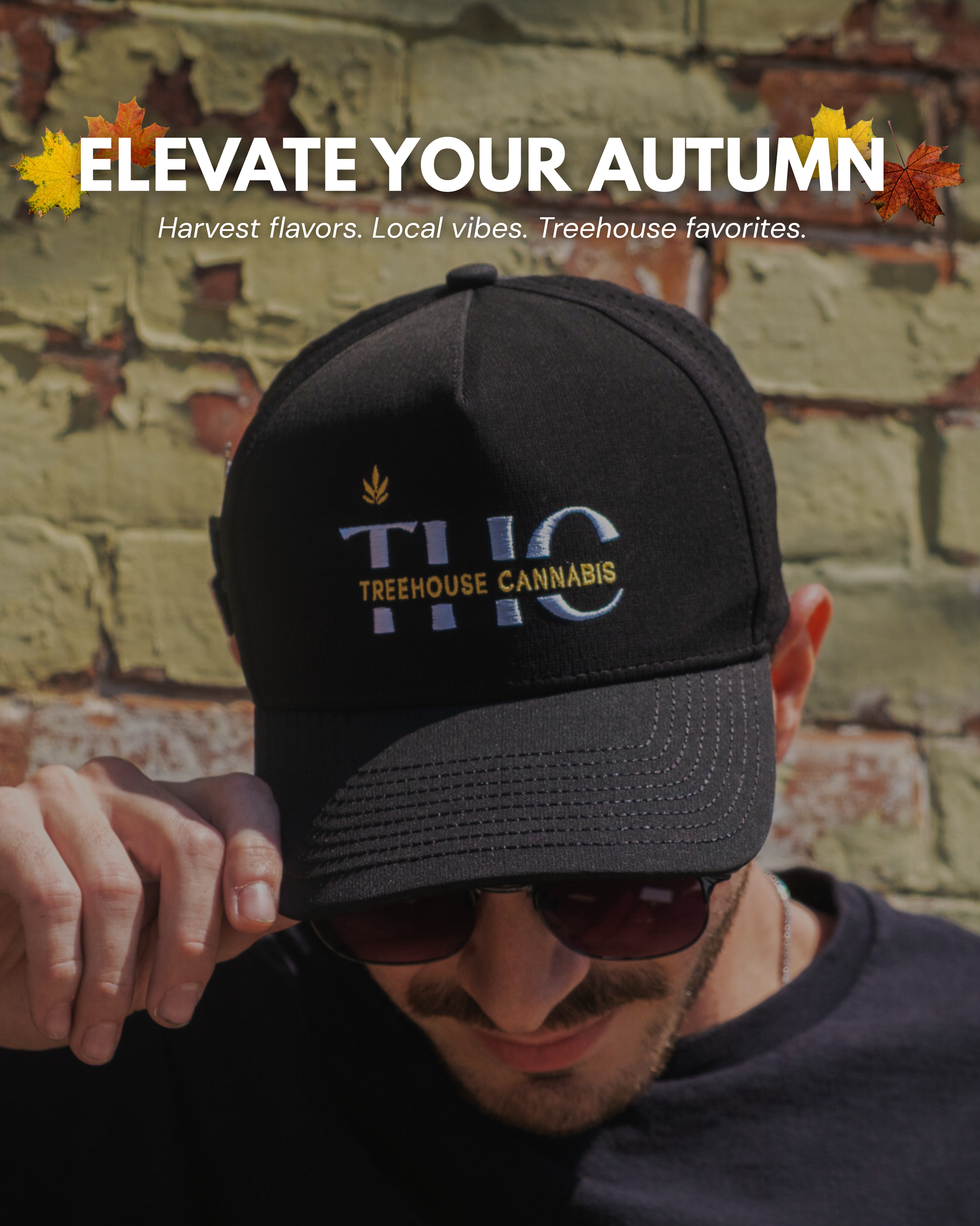 Treehouse Autumn Post.png