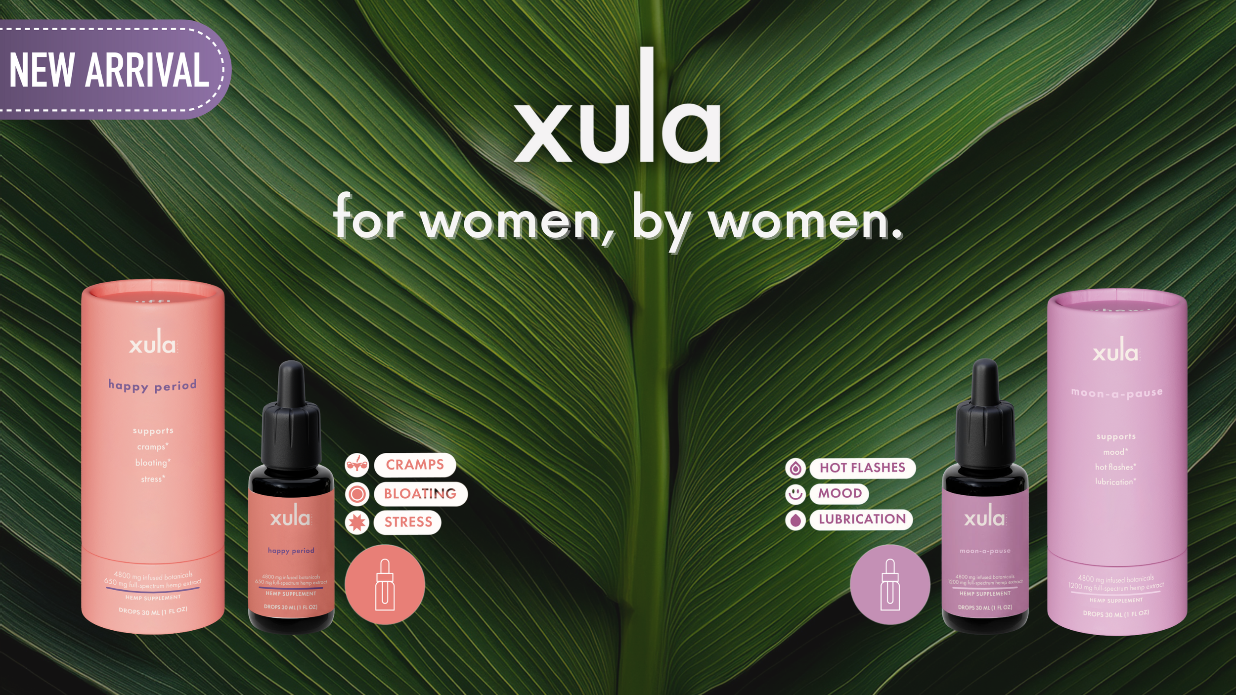 XULA copy.png