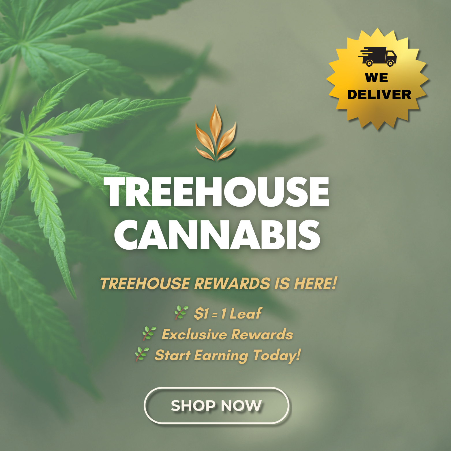 New Format (Box Ad 500 x 500 px).png