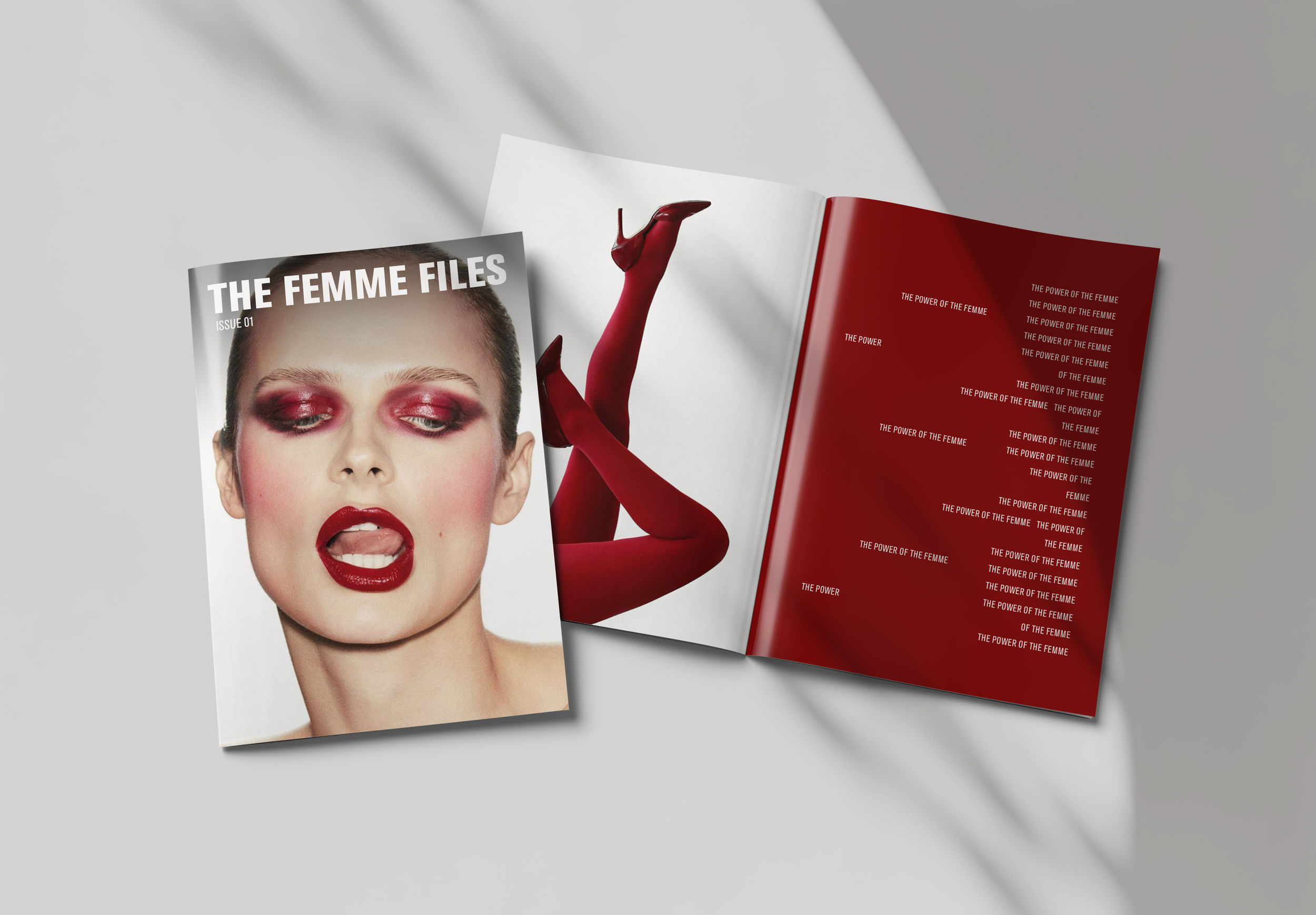 FF-Mockup-1 copy 2.png