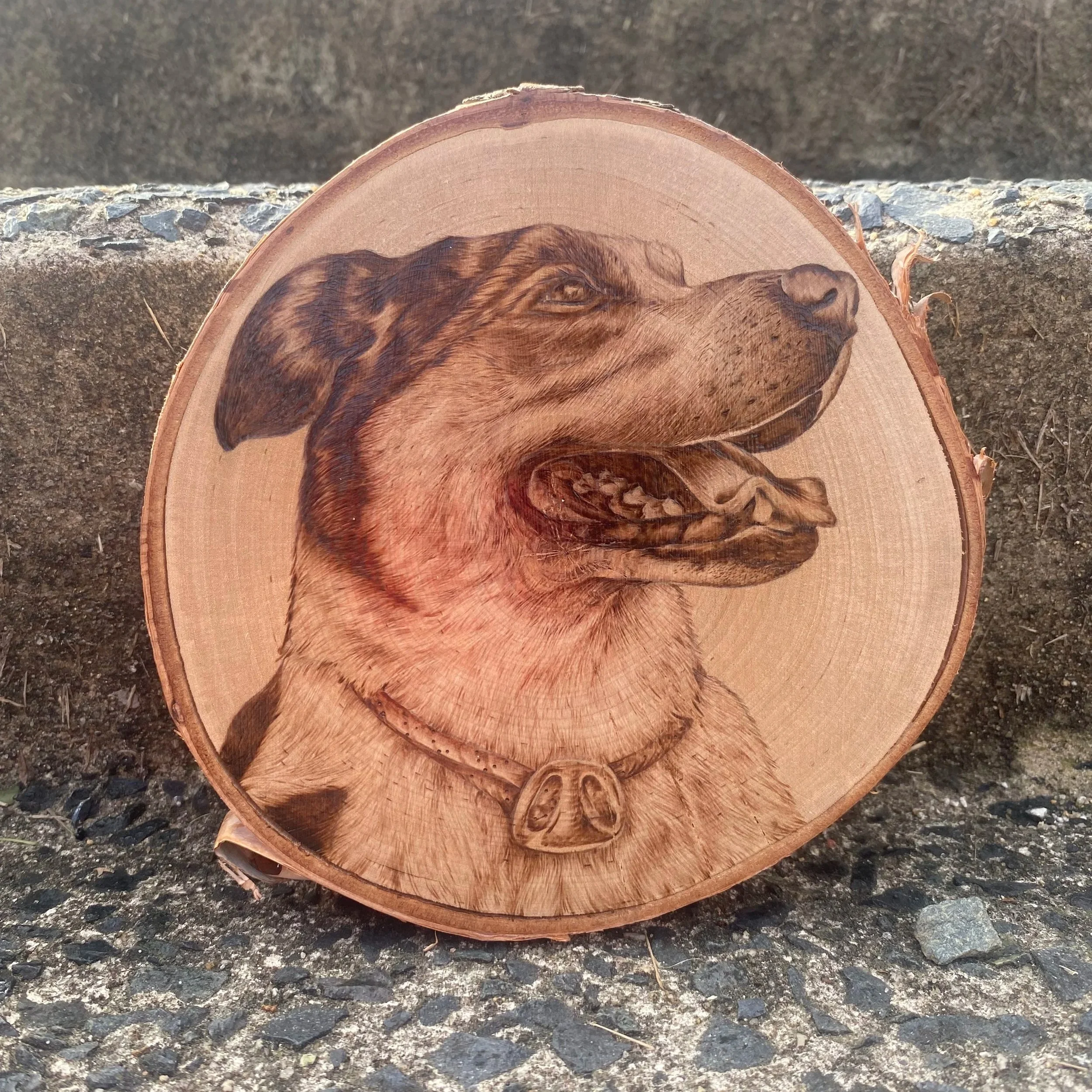 Wooden decorative piece with a carved portrait of a dog with a dog collar, displayed against stone steps.