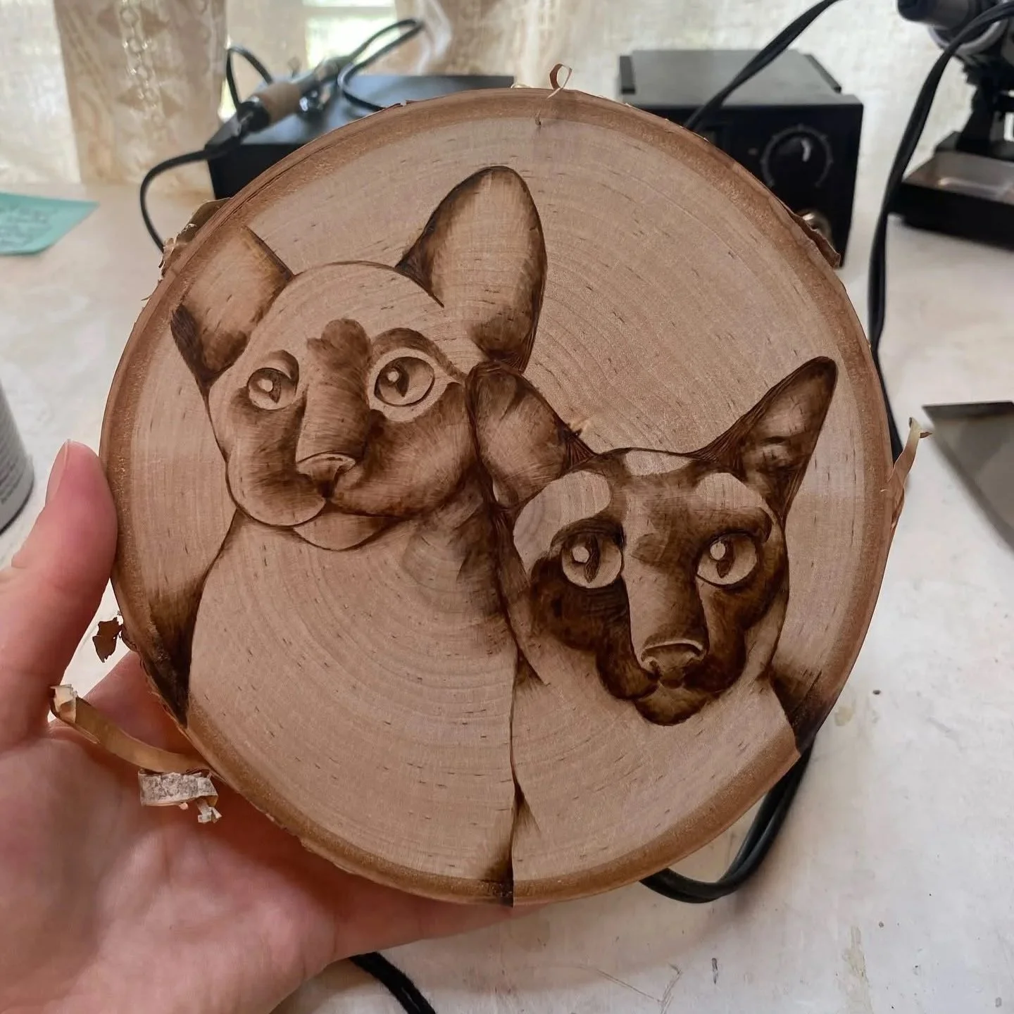 Wooden slice with detailed pyrography of two cats' faces.