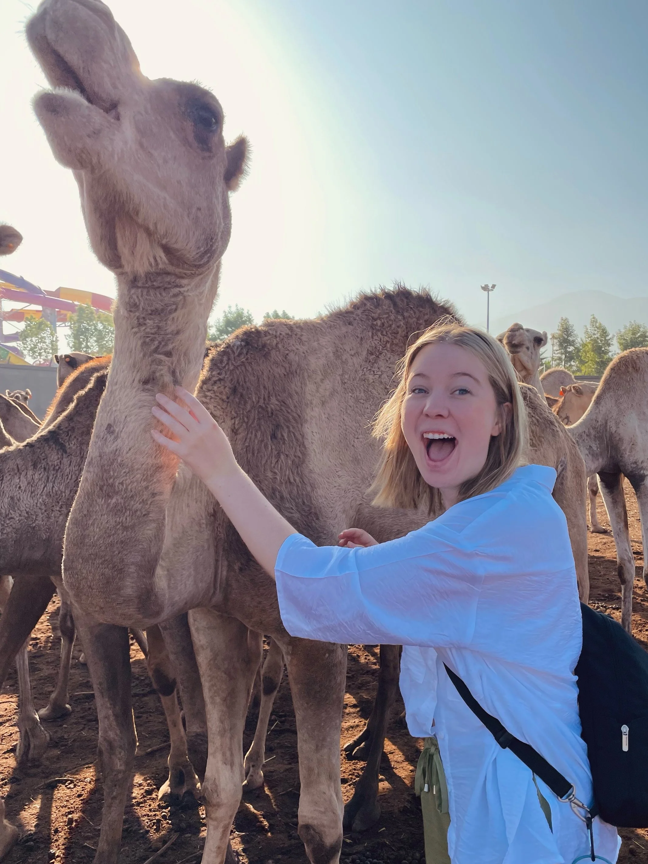 A young woman with blonde hair, wearing a white shirt and a black backpack, smiling and petting a camel in a zoo or animal park, with other camels in the background.