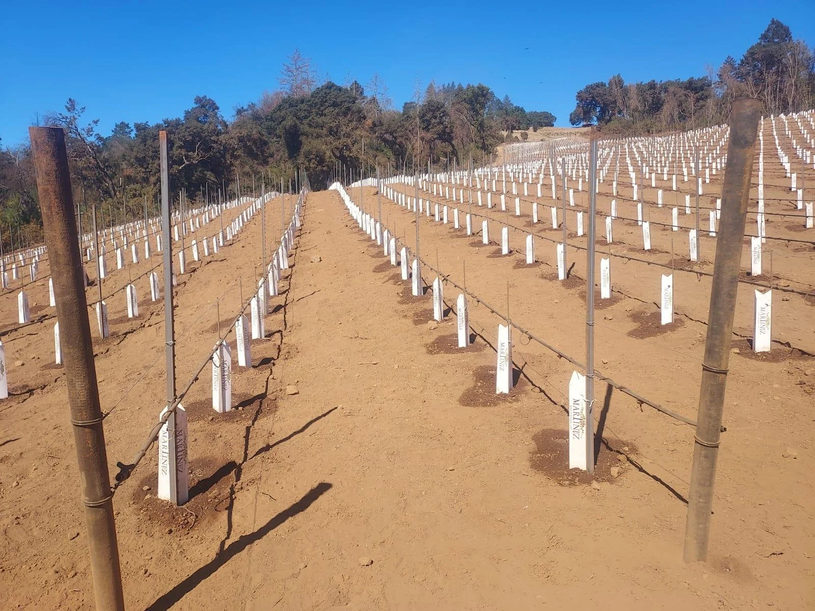 Land Preparation & Cultivation