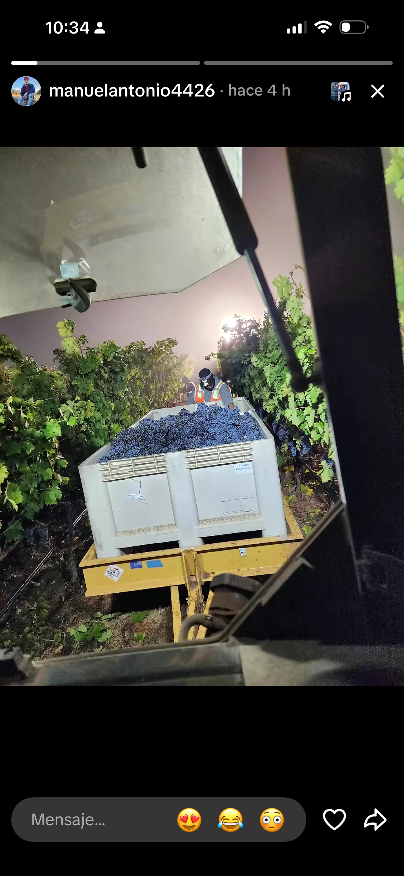 PHOTO harvest bins.png