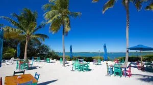 Upper Matecumbe Key Pool Service: Premium Care for Paradise