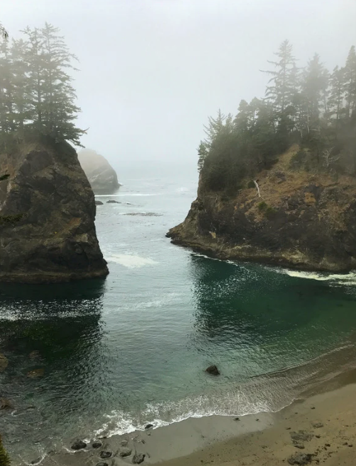 A foggy coastal cove with rugged cliffs covered in trees and a small beach with calm water.