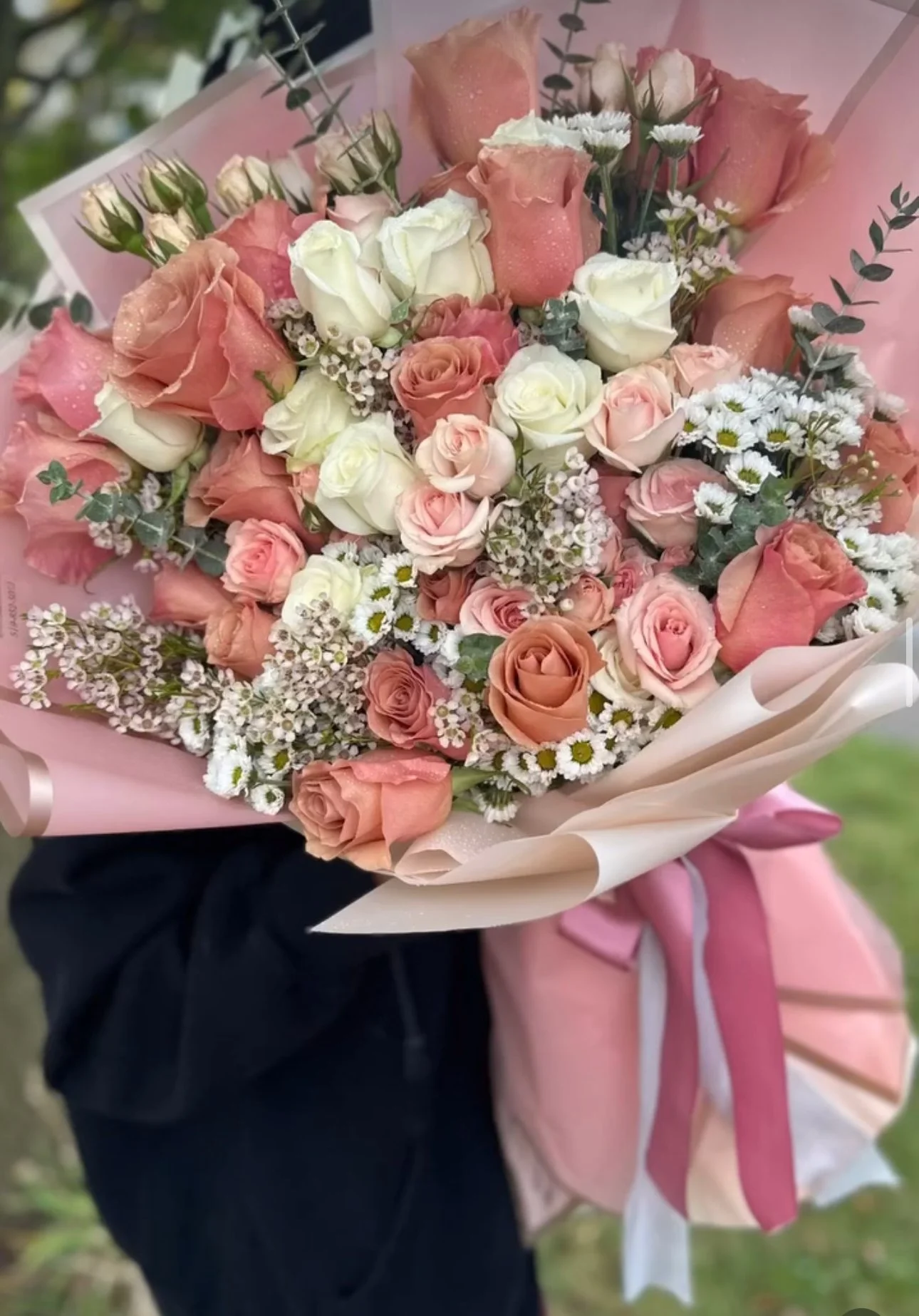 The Hand Held Garden