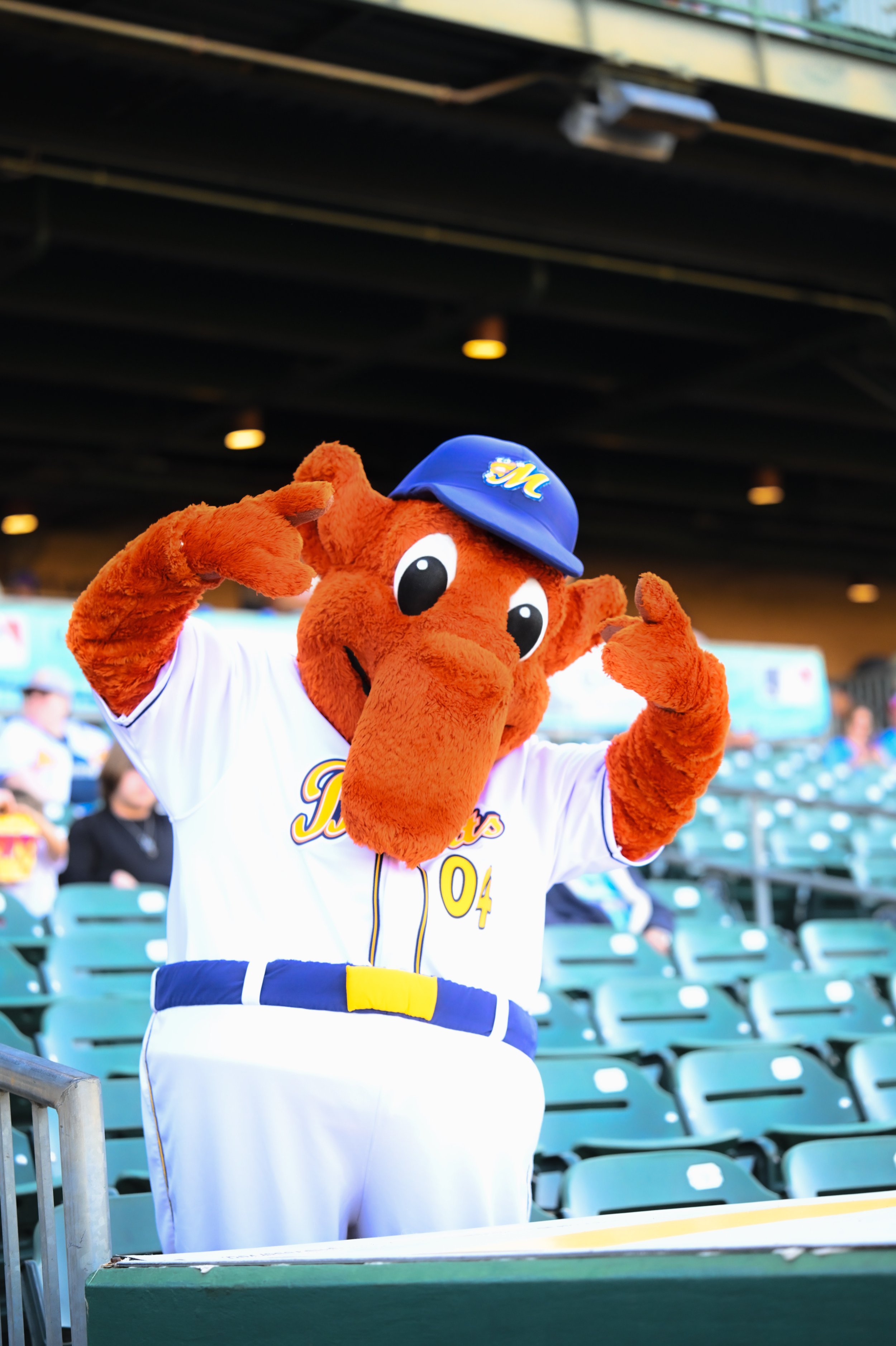 A mascot dressed as a baseball player with orange fur, wearing a white baseball jersey with yellow and blue accents, a blue cap with yellow writing, and posing with both hands near its head at a baseball stadium.