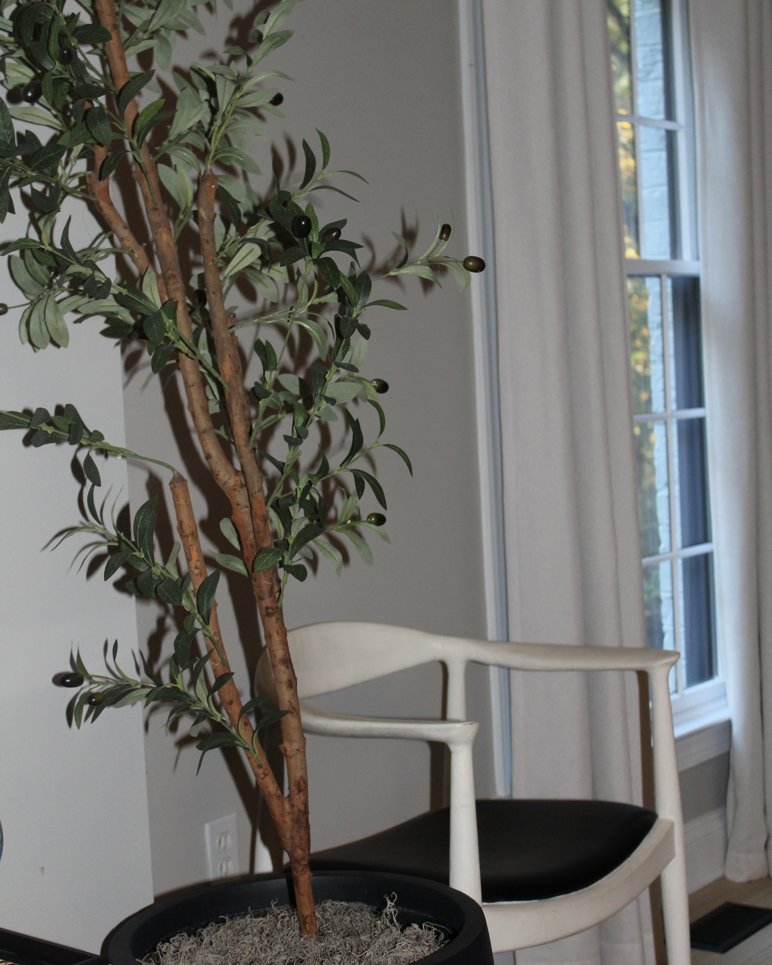 Indoor scene with a potted artificial olive tree, white chair with black cushion, and window with white curtains.