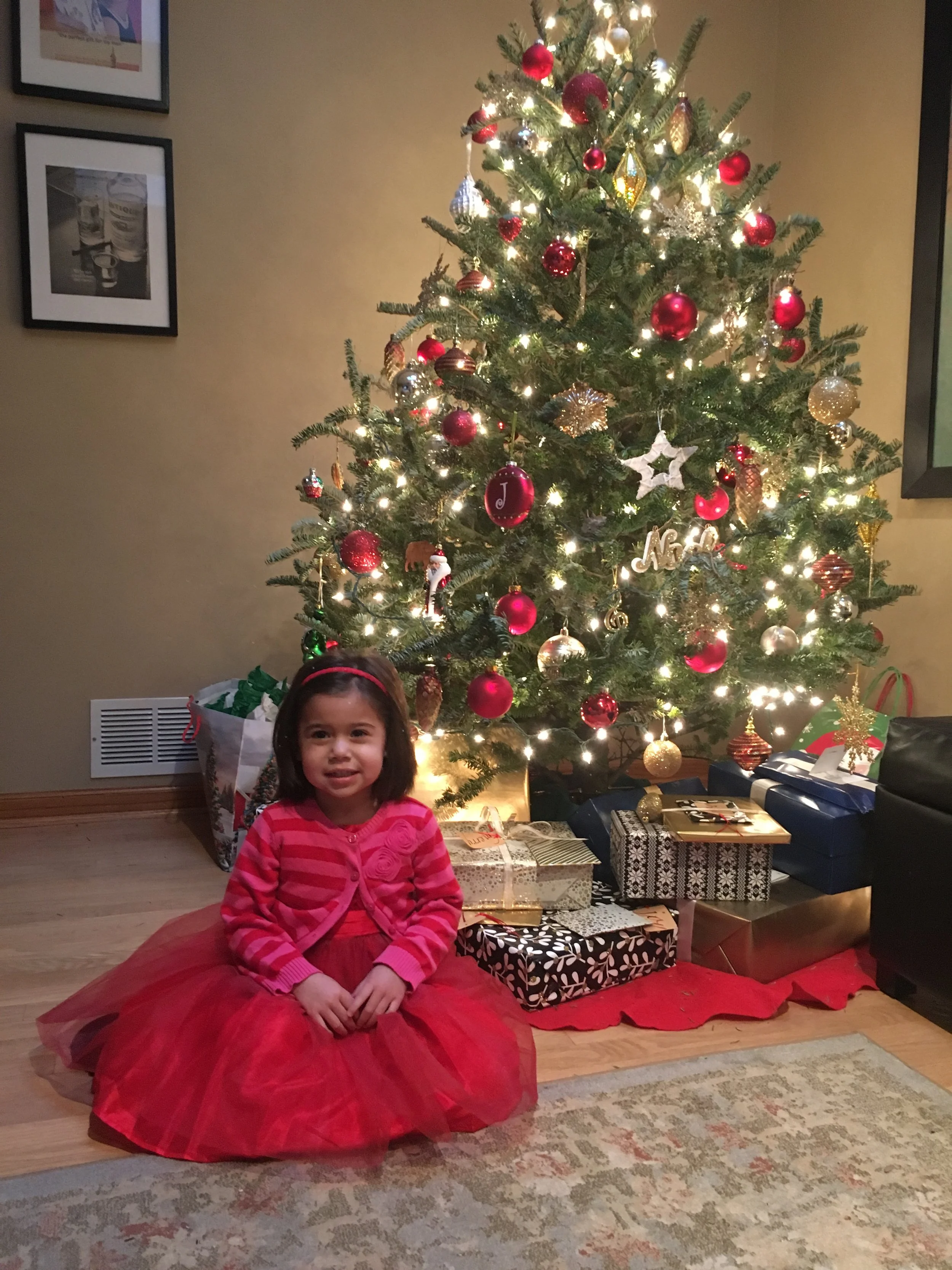 Photo Dec 24 2015, 3 33 09 PM - Copy.jpg