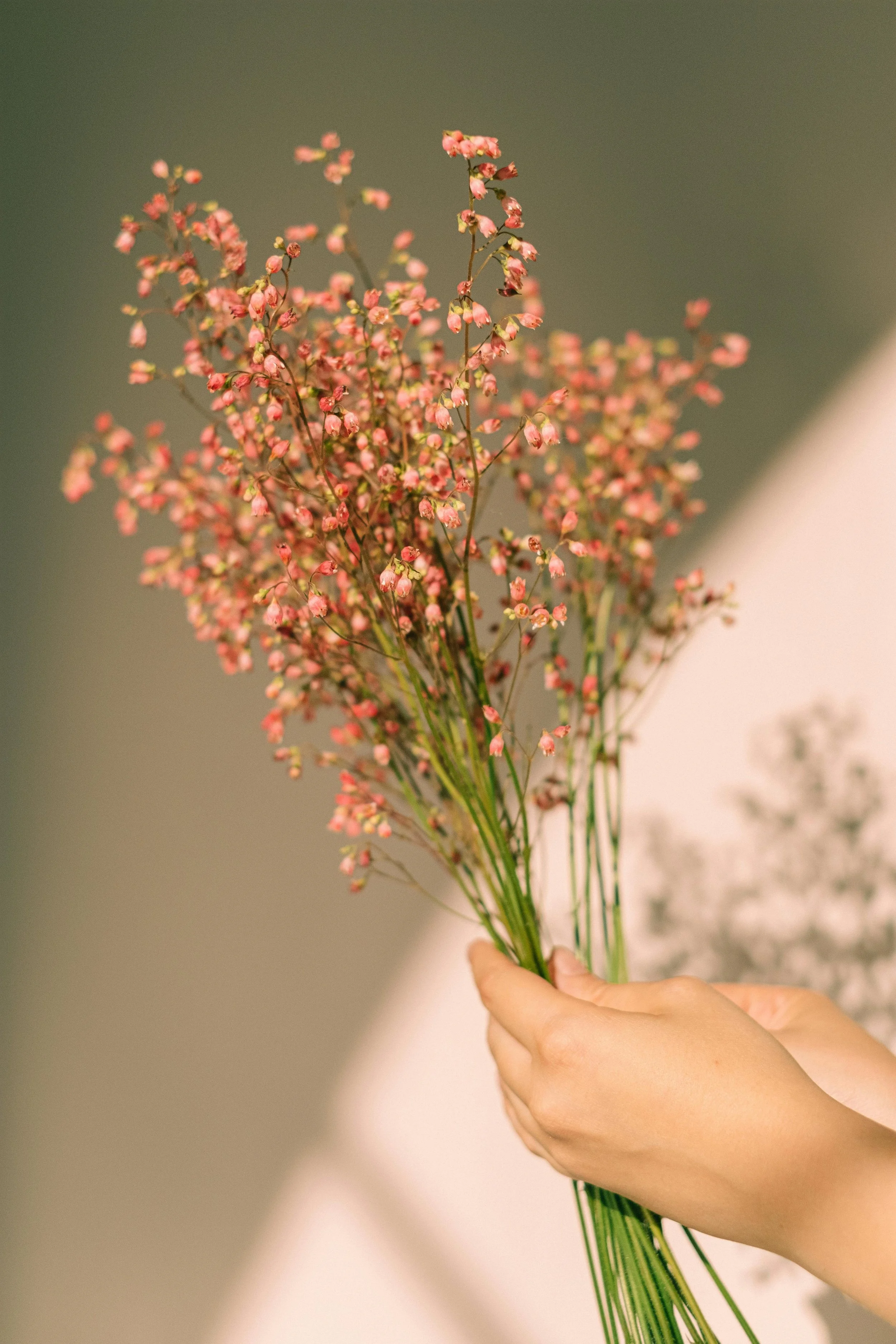 Person's hand holding a bouquet of pink baby's breath flowers.