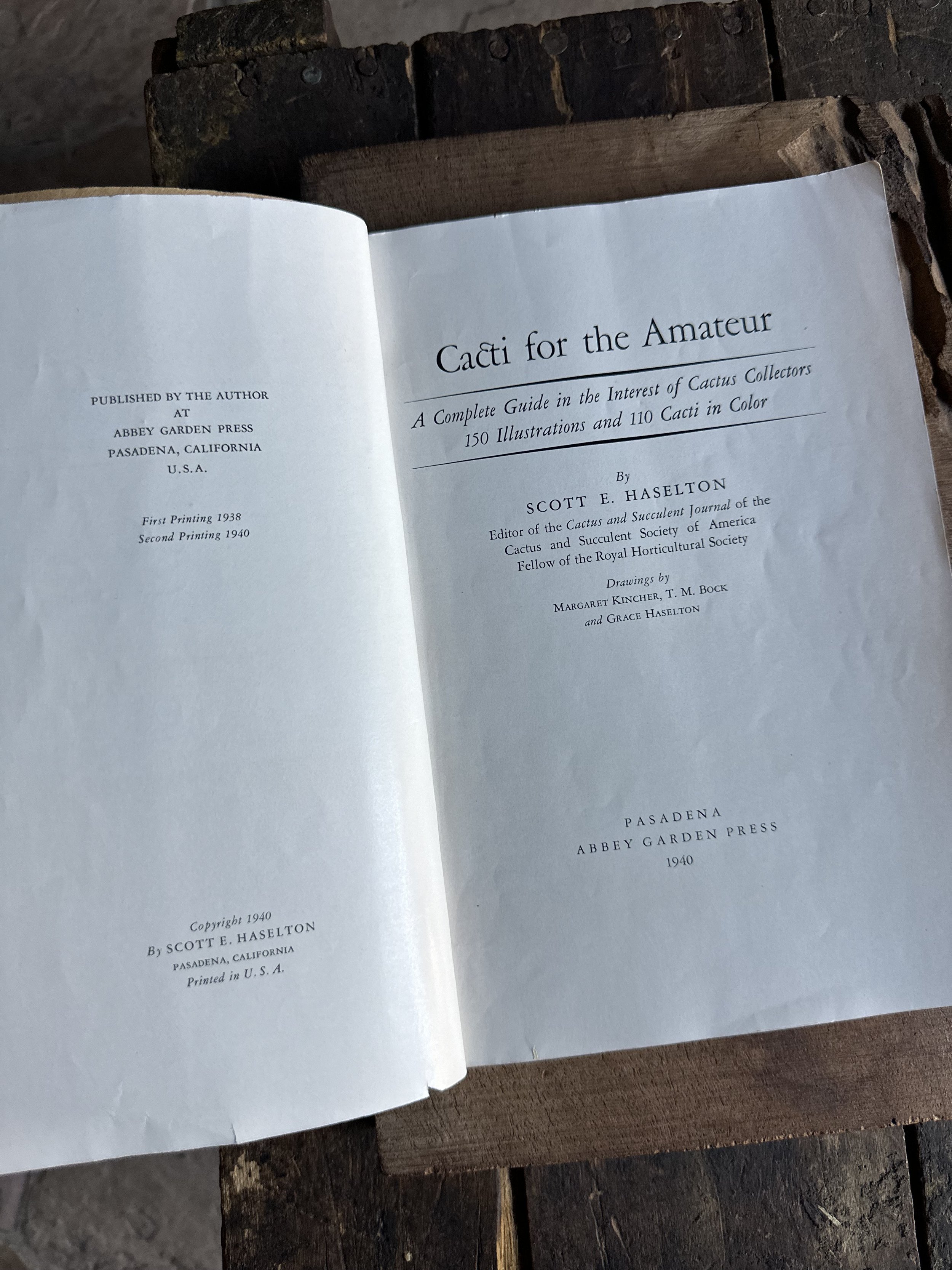 IMG_9017.jpeg