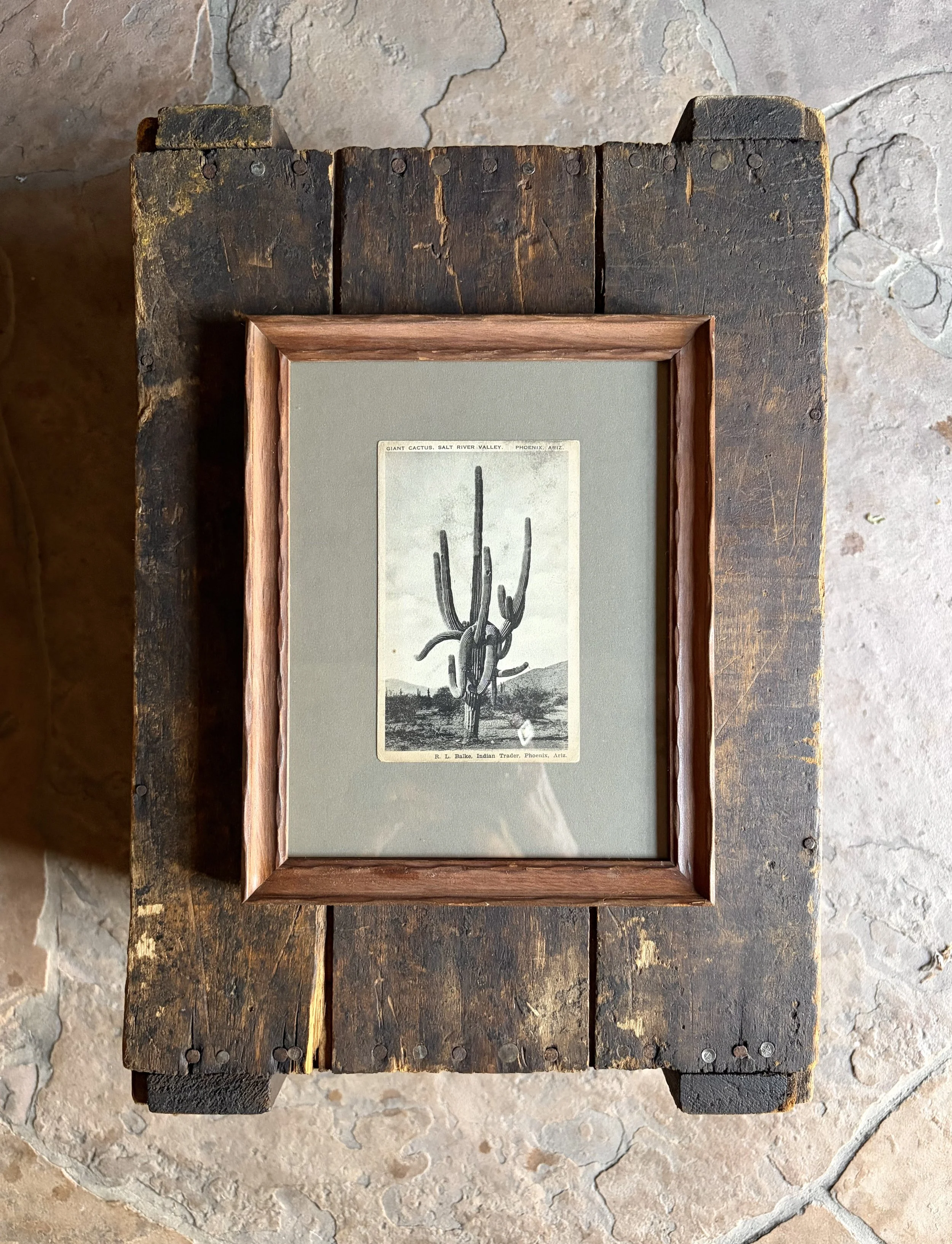 Framed Saguaro Postcard