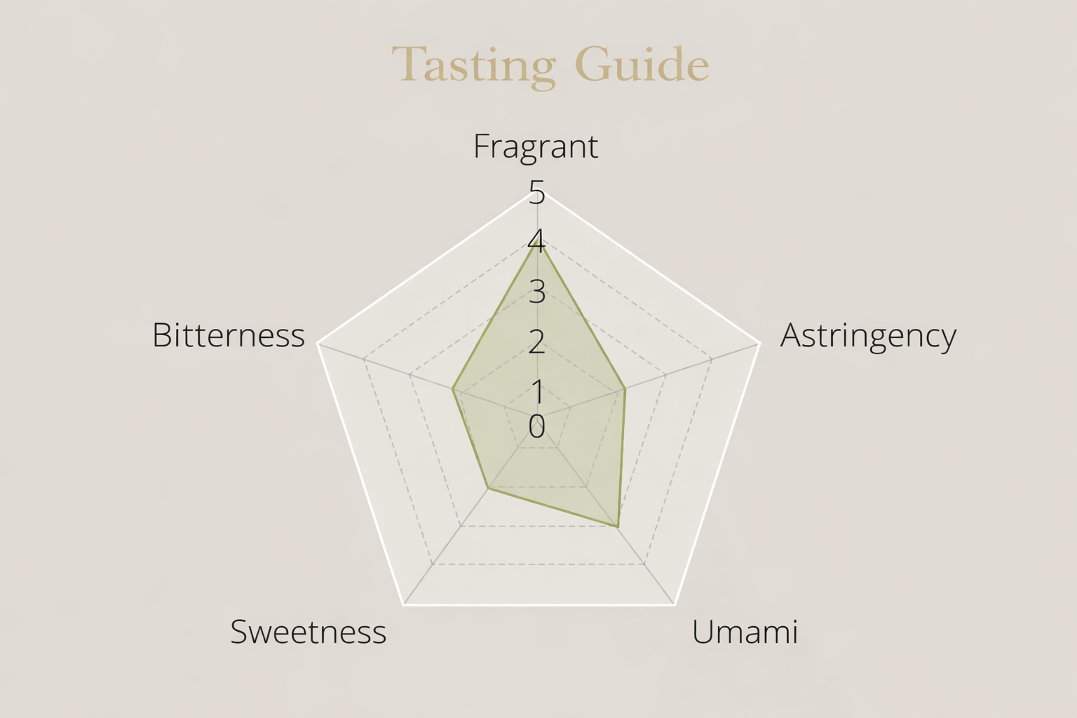 ChatGPT Image Jan 1, 2026, 09_26_02 PM.png