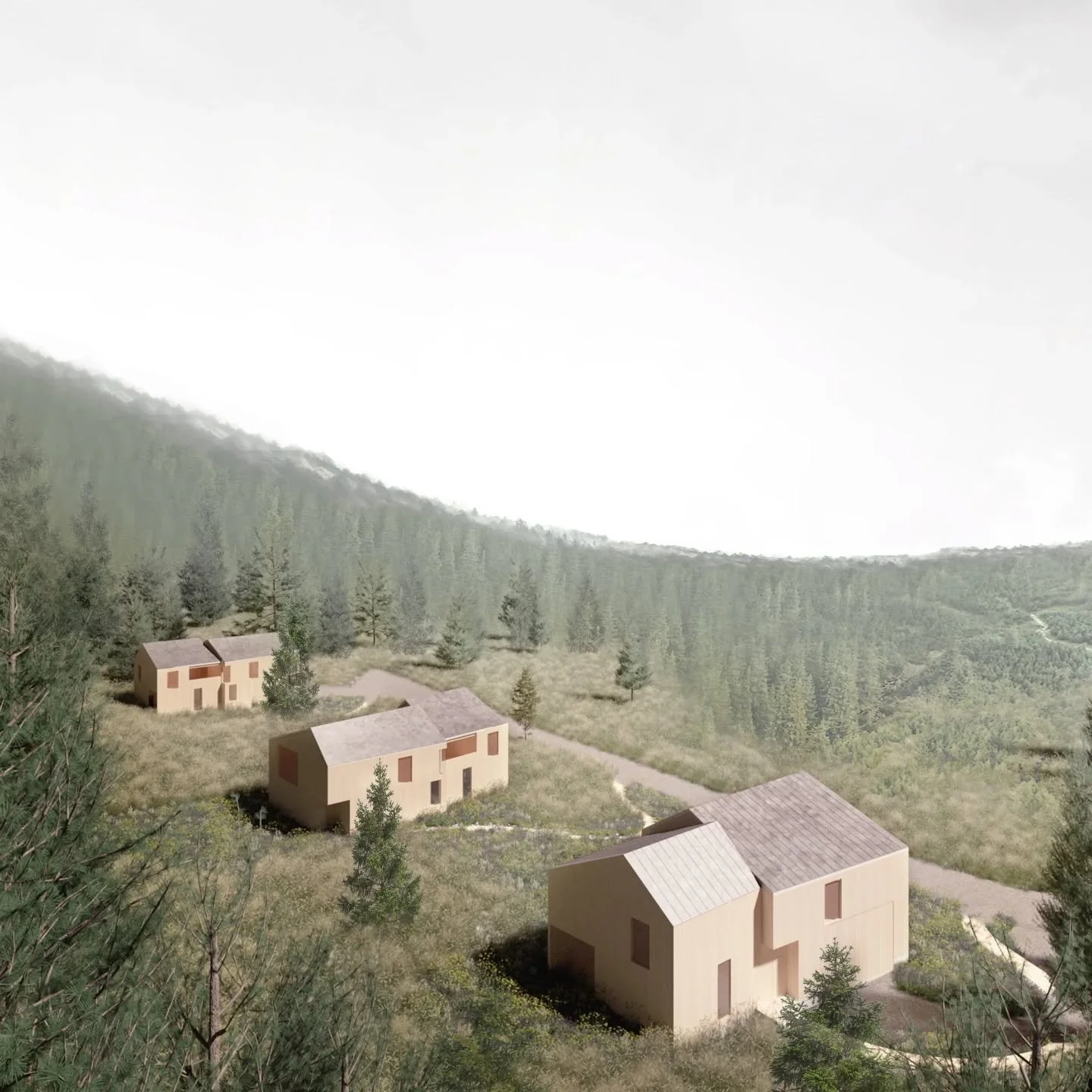Alpenglow housing is a proposal for affordable workforce housing built using nail-laminated timber panels and located on the eastern edge of the Tahoe National Forest, perched at 6,000 feet above sea level. The steep terrain reveals sweeping views ov