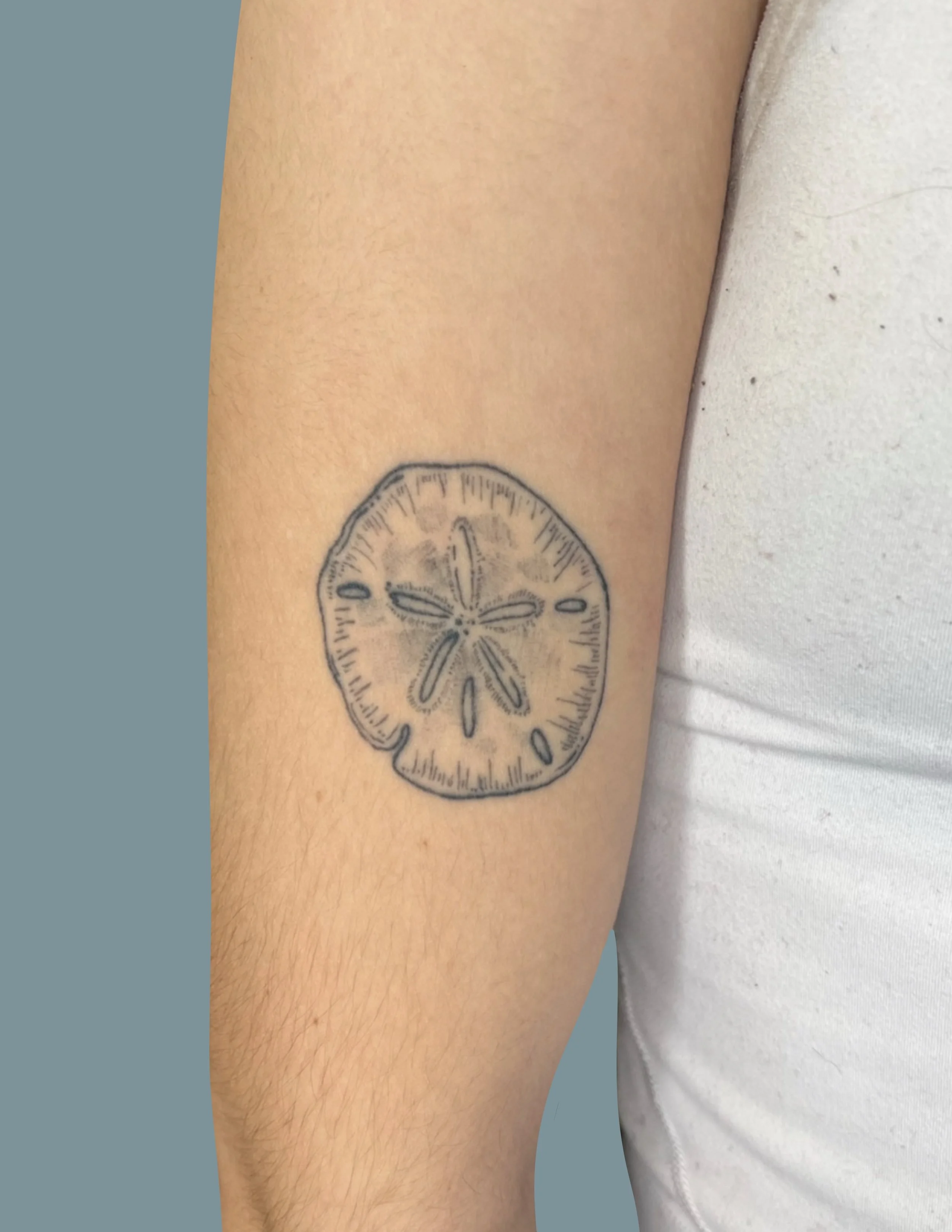 Tattoo of a lemon slice on a person's arm.