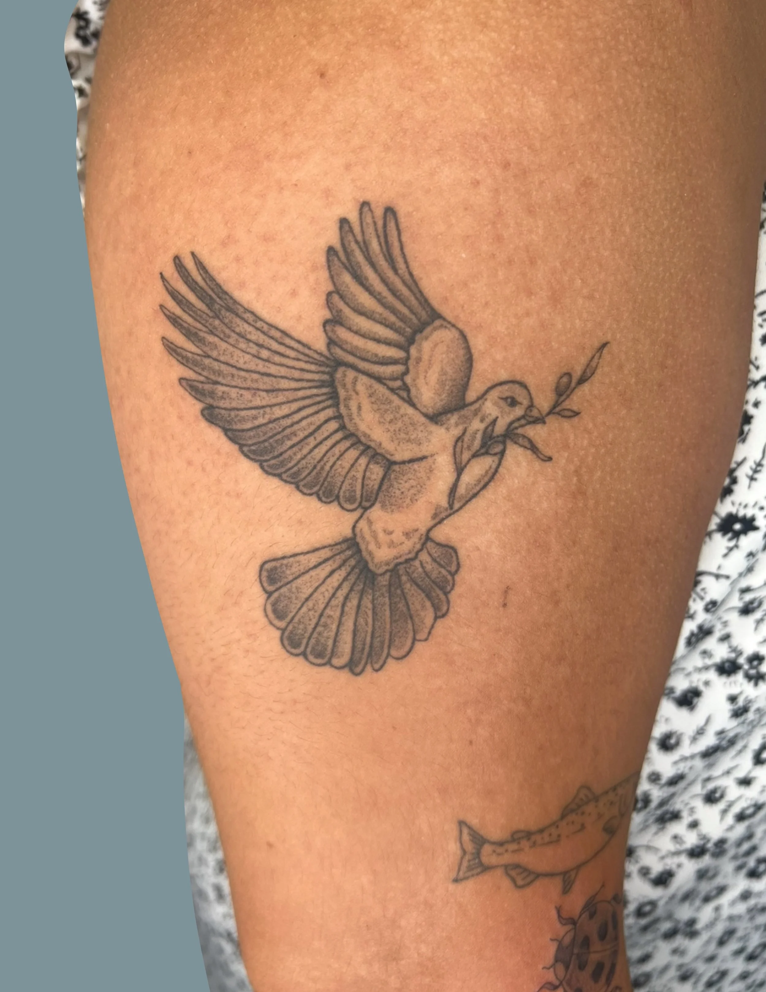 Tattoo of a dove holding an olive branch on a person's upper arm.