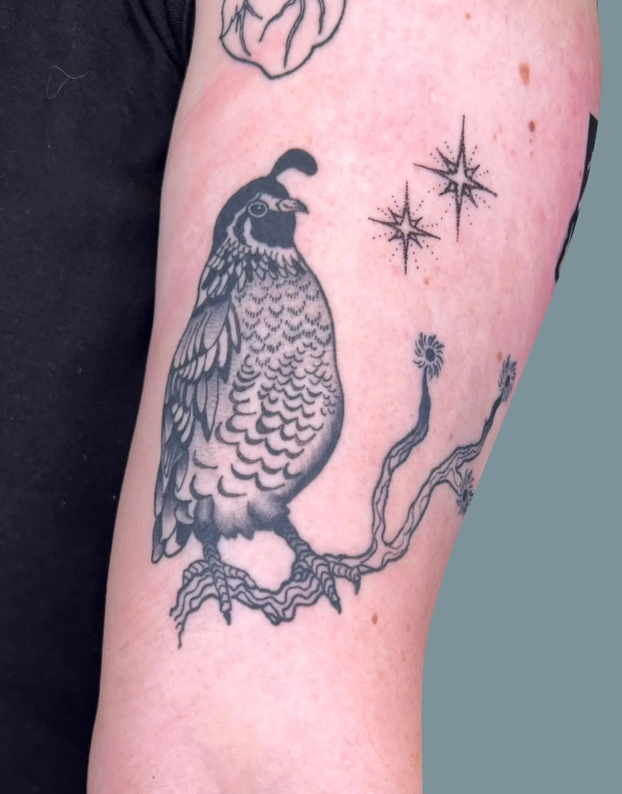 Tattoo of a detailed bird, possibly a quail or similar, perched on a branch, with stars and abstract designs nearby.