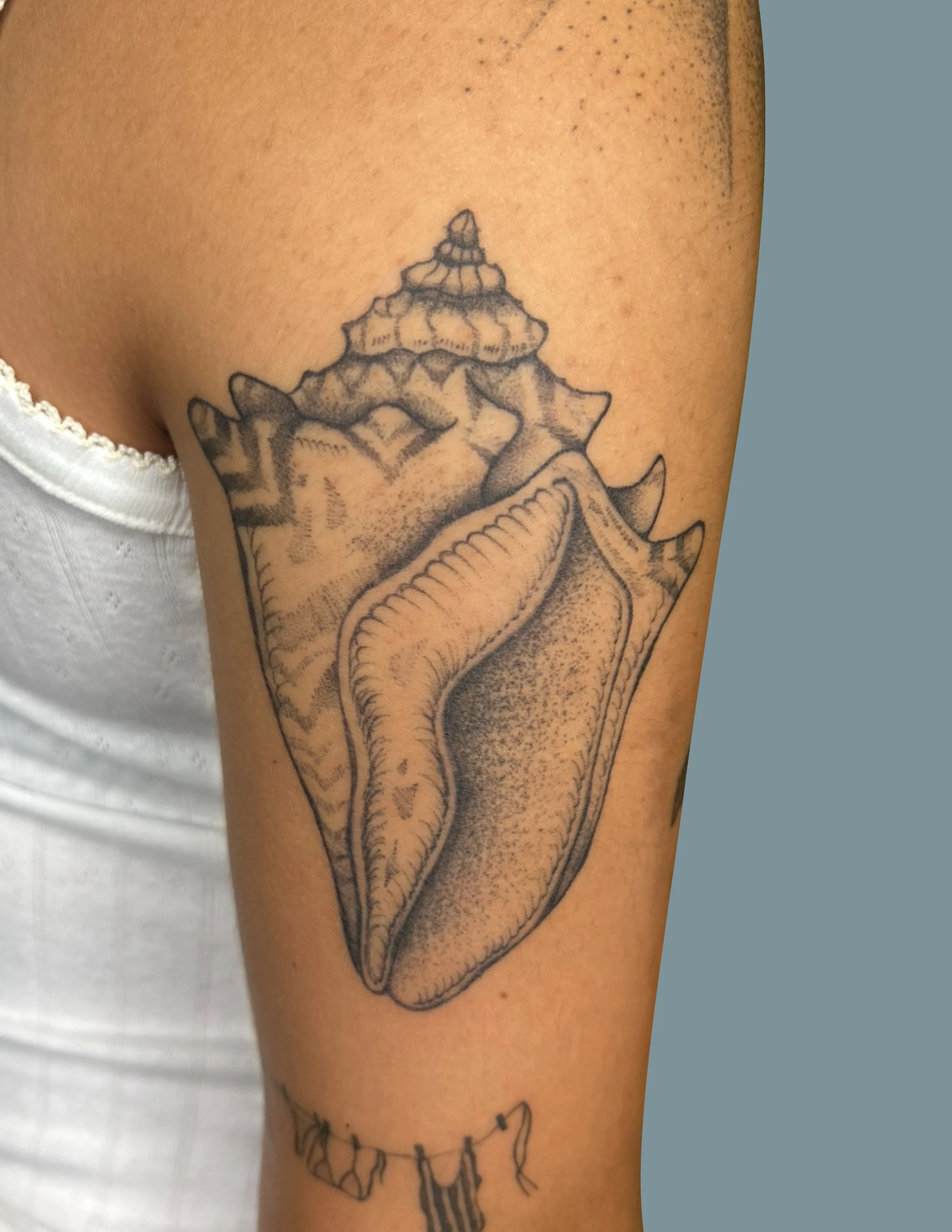 Black and gray tattoo of a seashell on a person's upper arm.