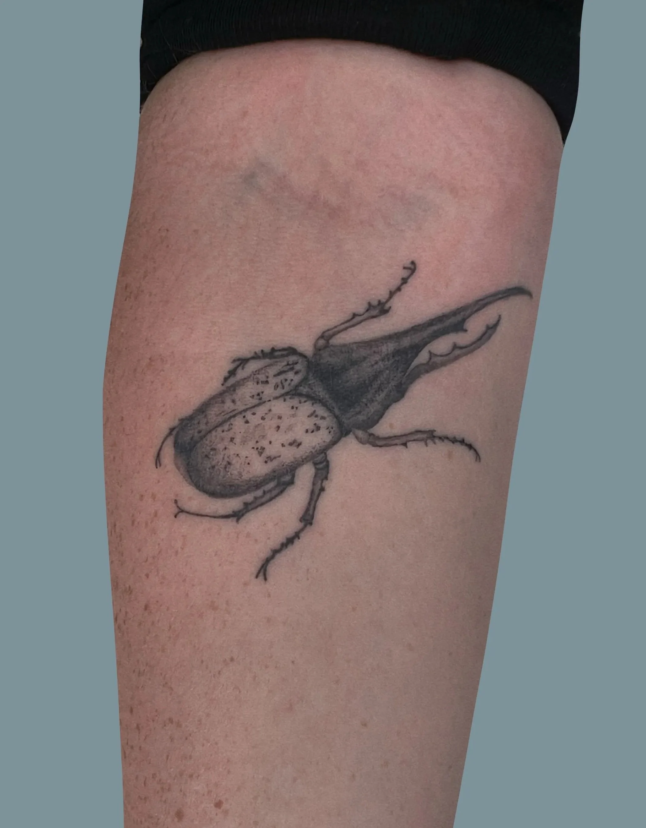 Tattoo of a beetle on a person's upper arm.