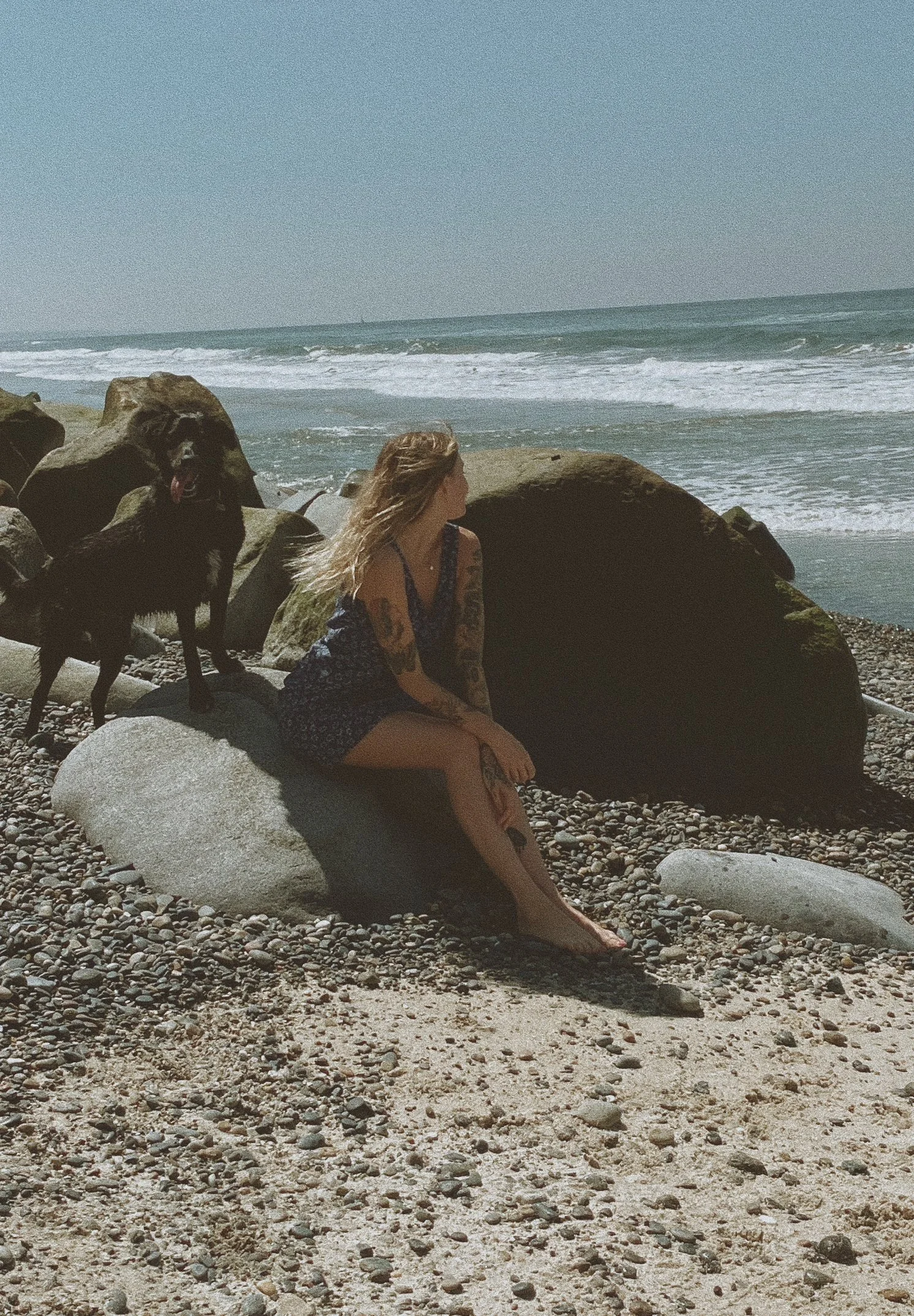 A woman with tattoos sitting on a large rock on a pebbled beach, facing the ocean, with a black dog nearby. Large rocks and the ocean waves are visible in the background.