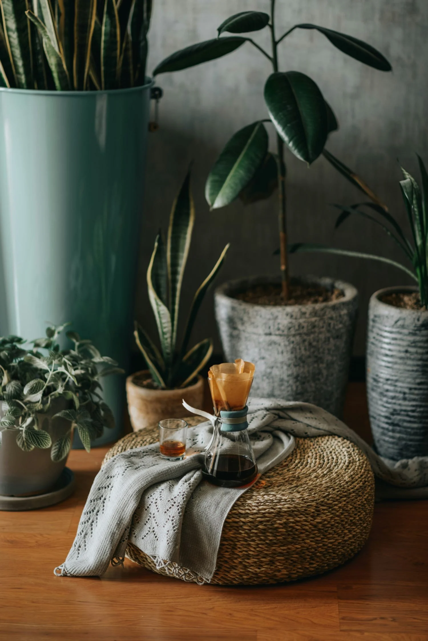 Assorted houseplants in pots, a woven ottoman with a coffee pour-over and a small glass of whiskey, on a wooden floor.