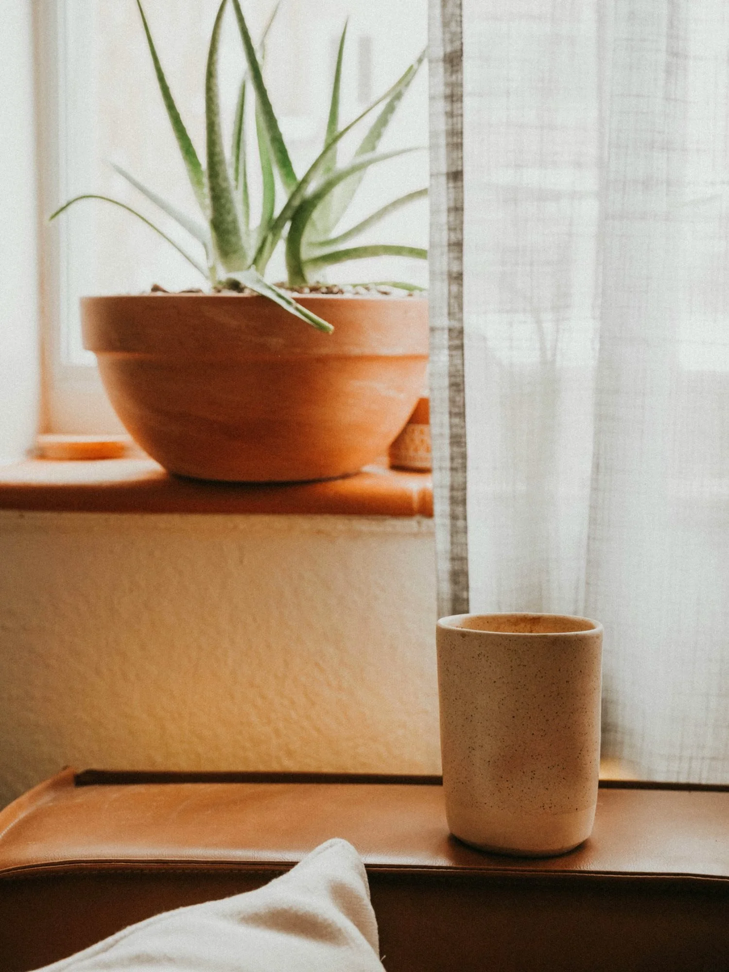 A windowsill with a potted aloe vera plant and a ceramic mug on a tray.