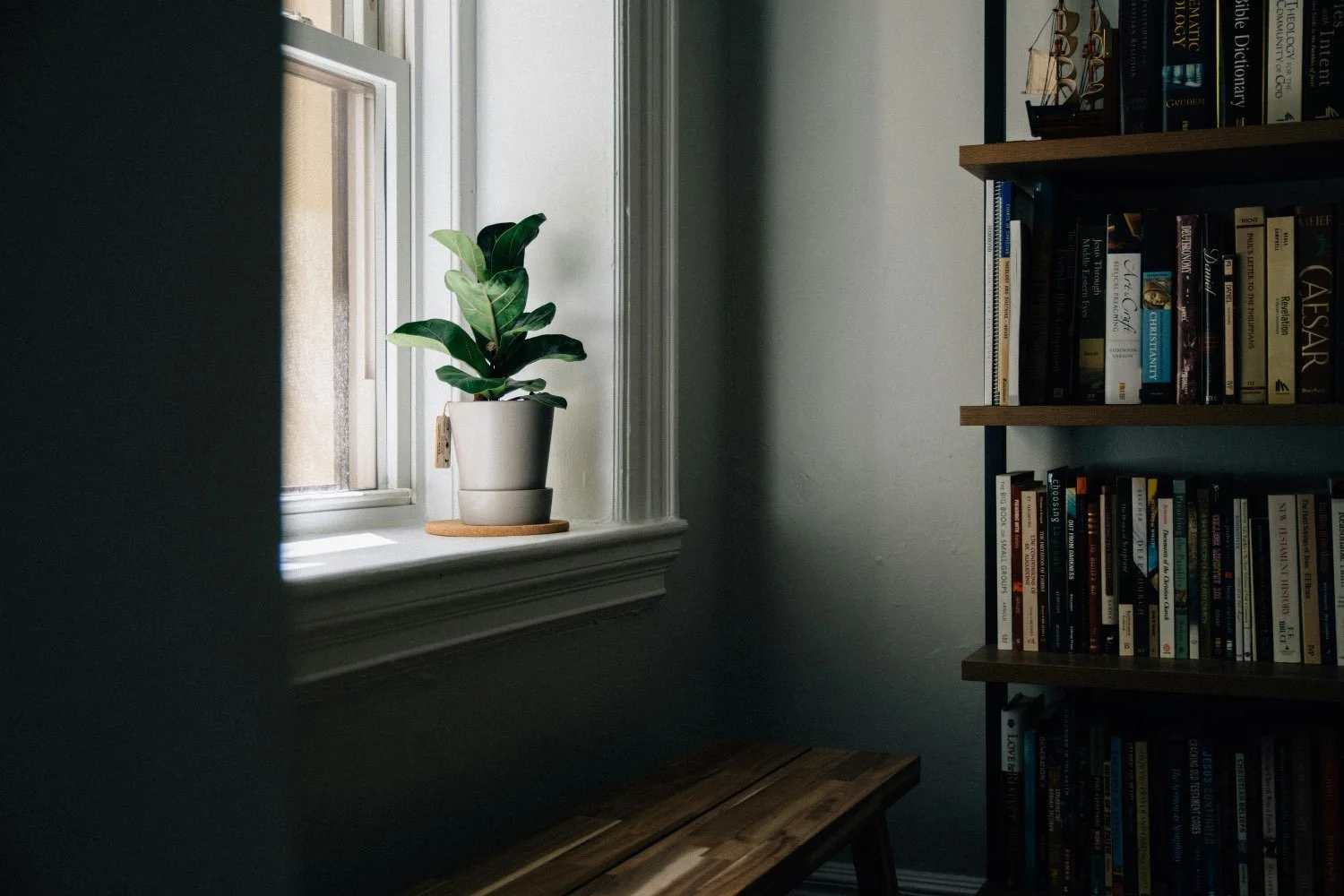 A windowsill with a potted plant next to a bookshelf filled with books in a room with dim lighting.