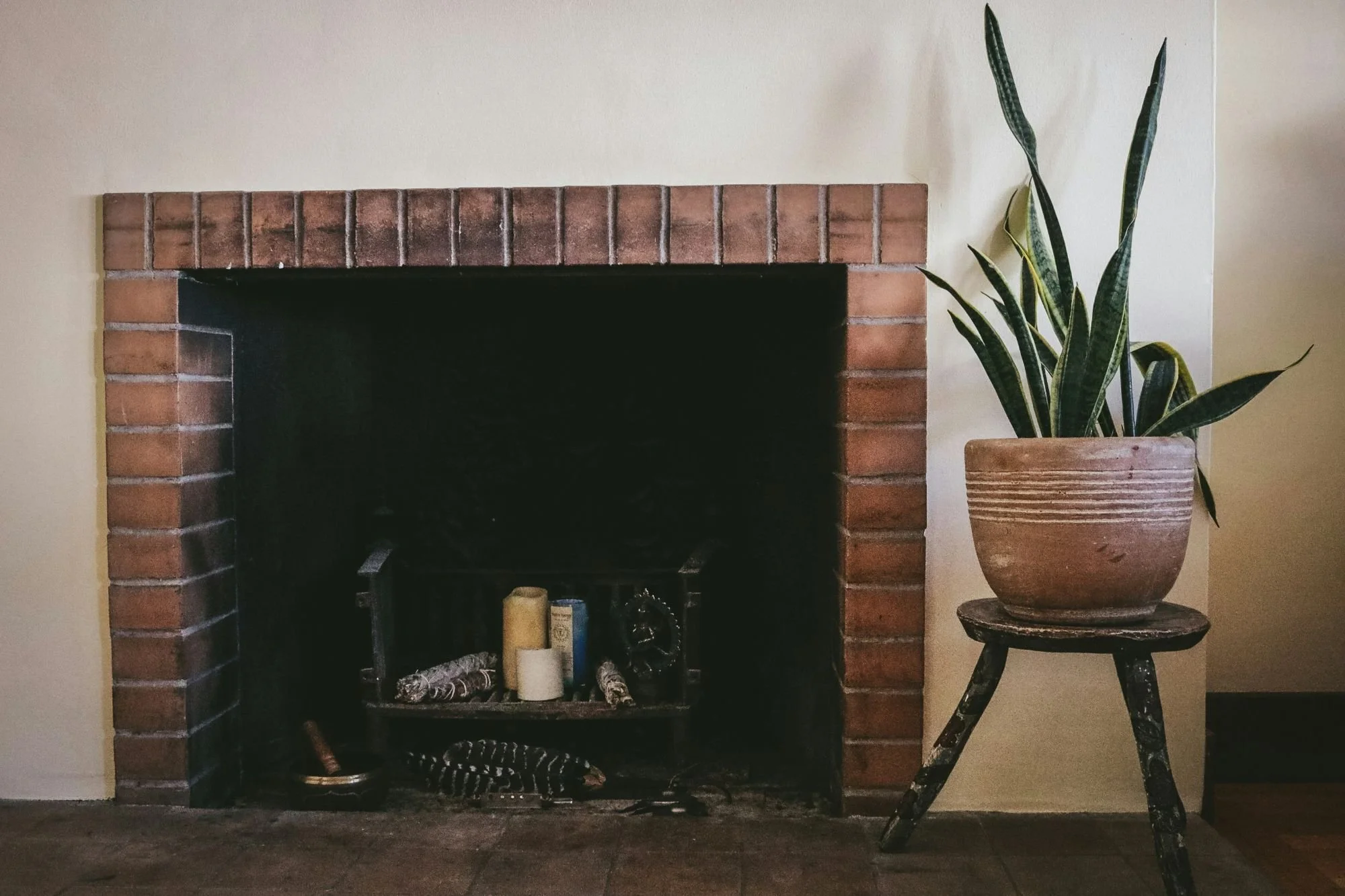 Living room fireplace with a brick surround and a potted snake plant on a wooden stand to the right.