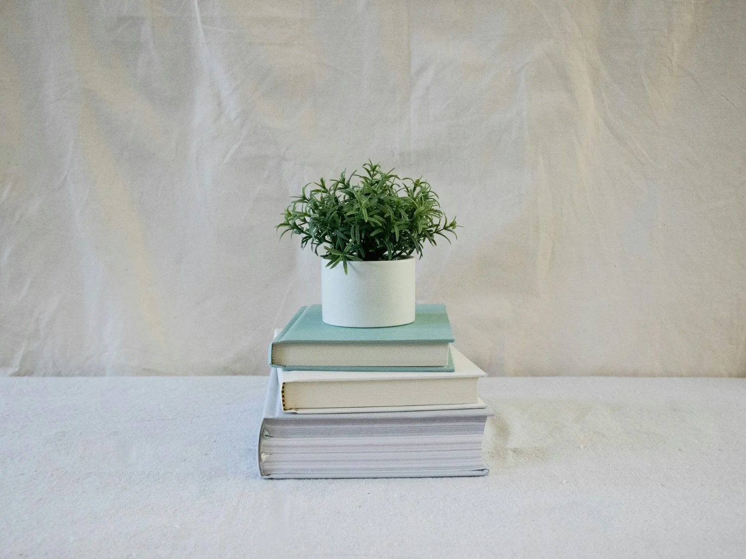Potted plant on a stack of three books on a white surface with a beige background.