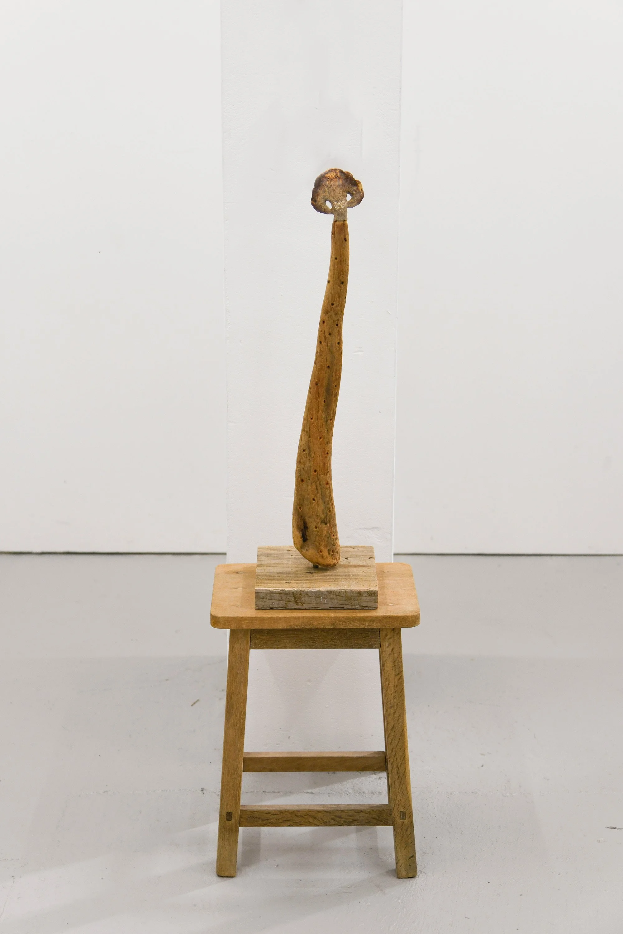 Studio Exhibition, 2021