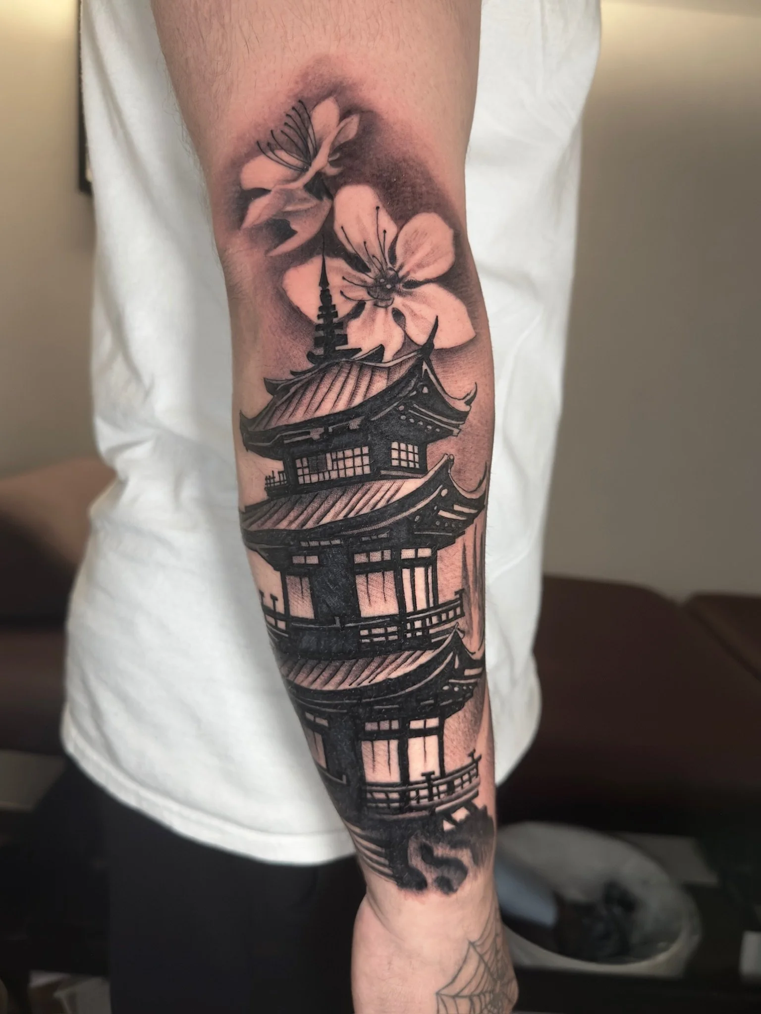 Castle with sakura
