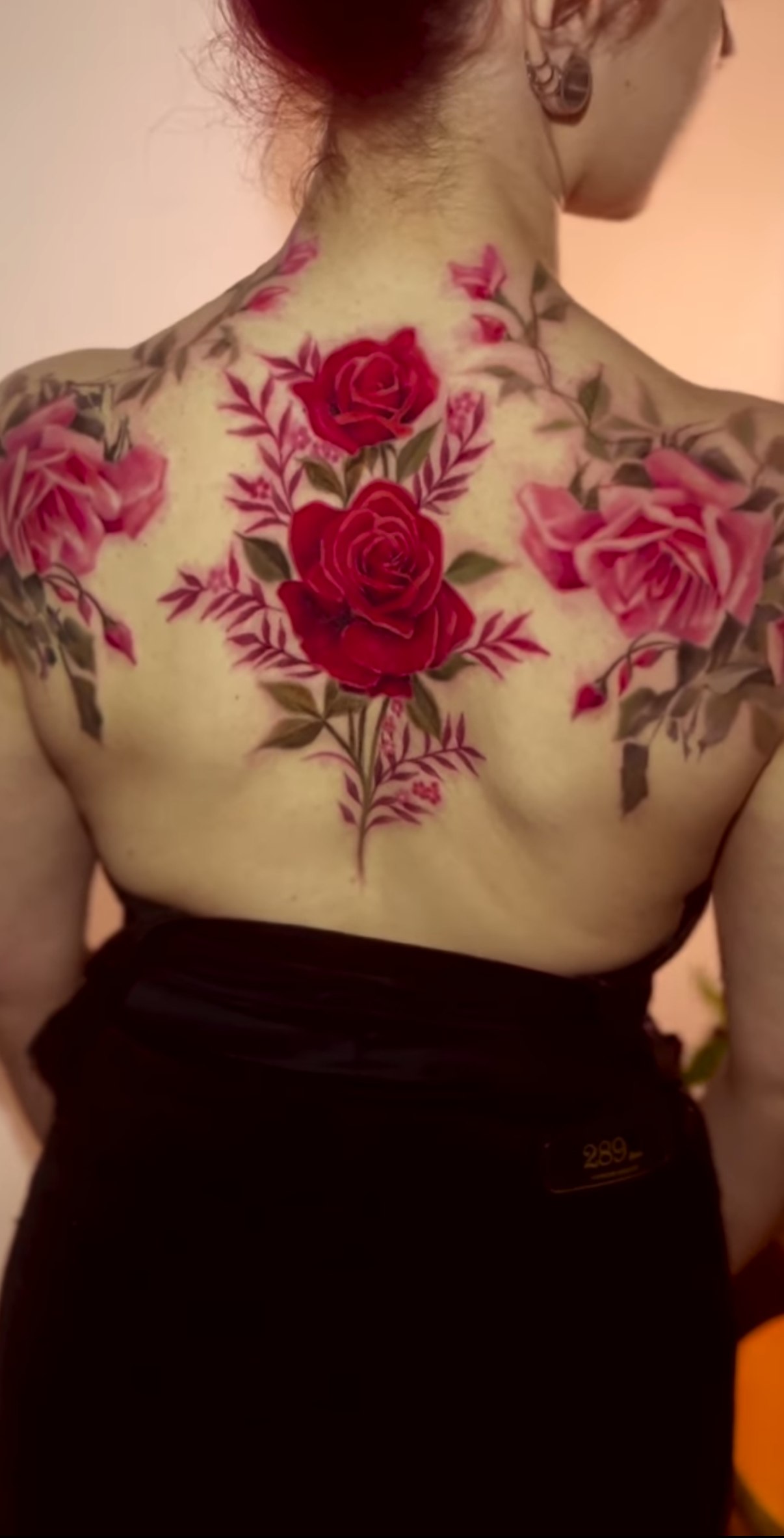 red roses back