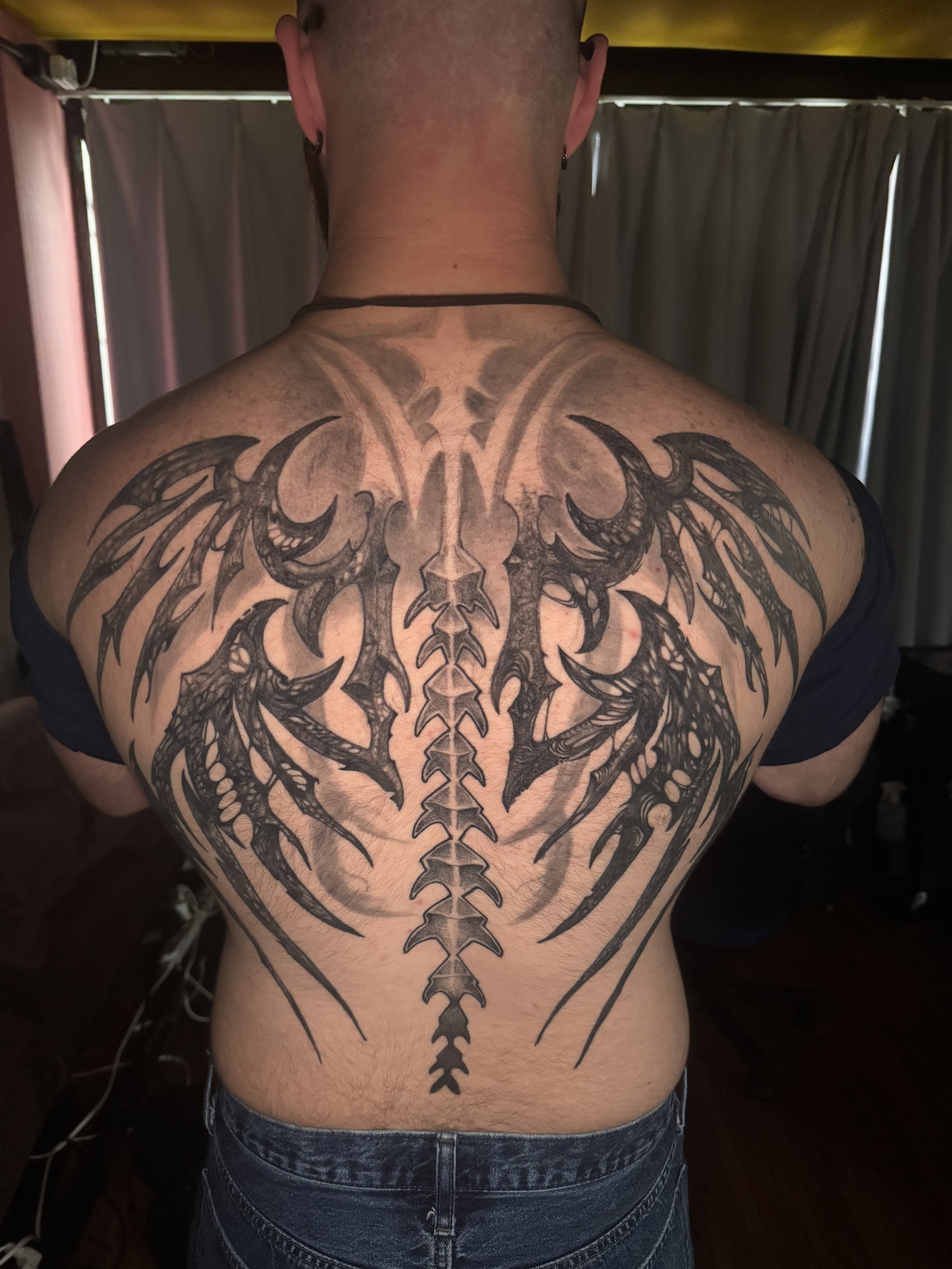 Skeleton wings
