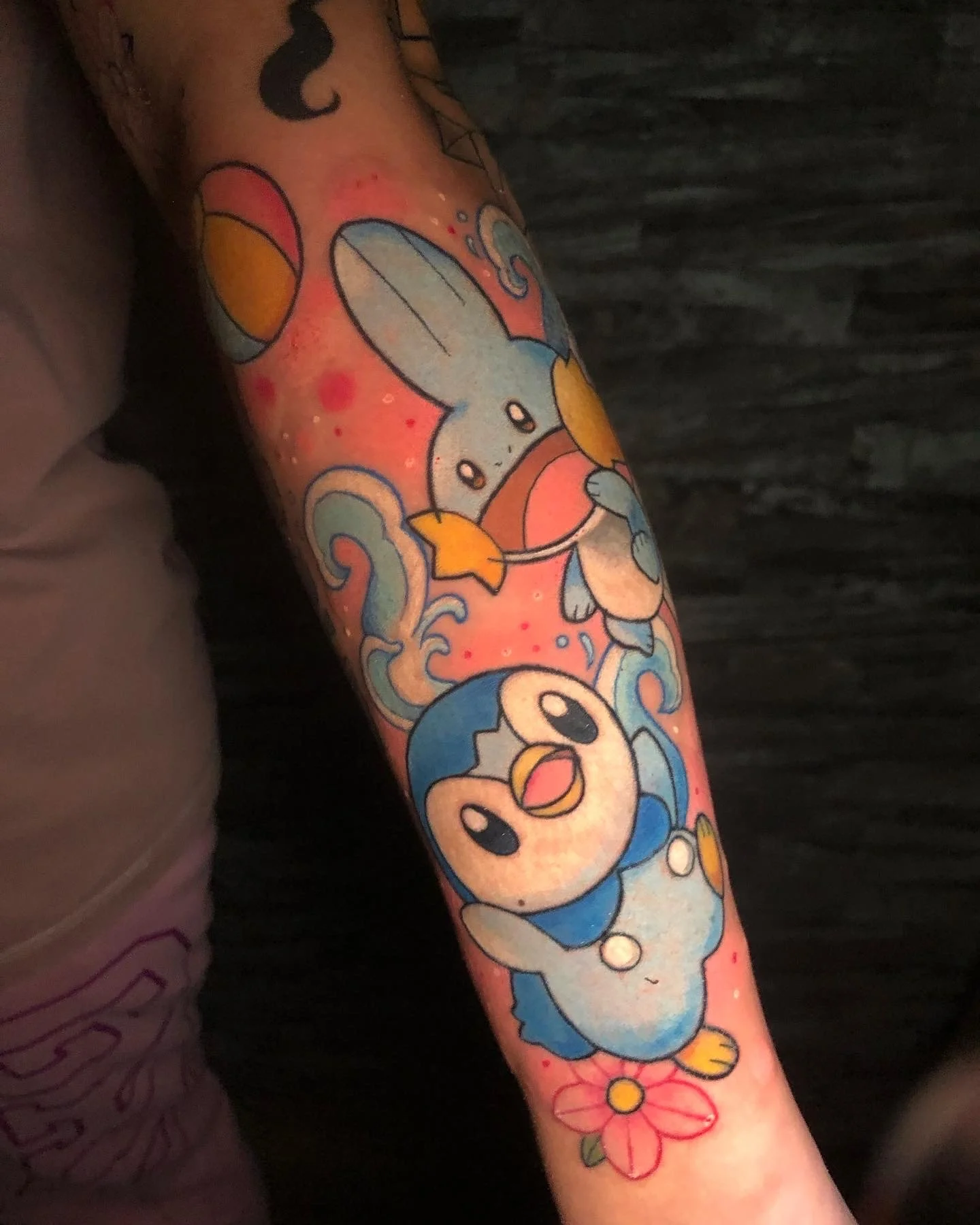 mudkip and oshawott summer fun