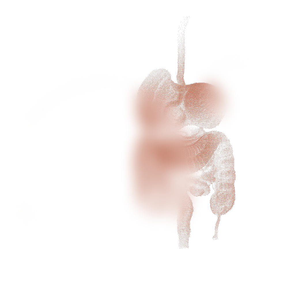 A woman wearing a large white hat with a flower, a white dress, and sunglasses, standing on a beach with palm trees in the background.