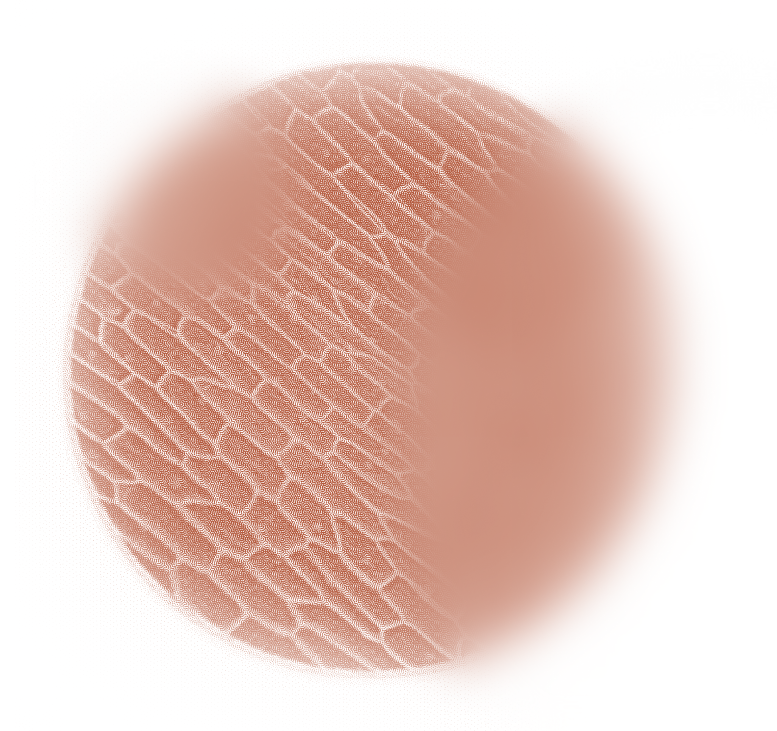 Close-up of fingerprint patterns on a skin surface.