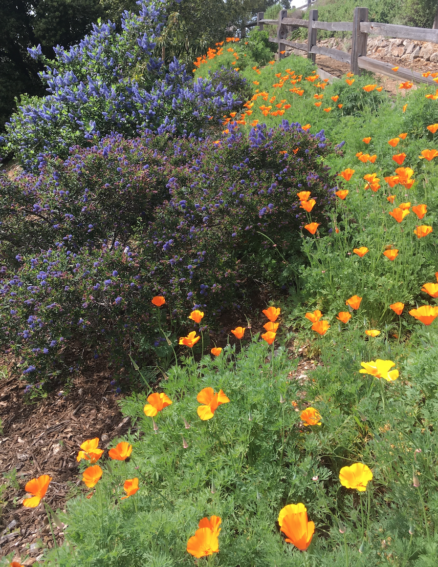 Screenshot 2024-07-15 at 11.57.50 AM.PNG