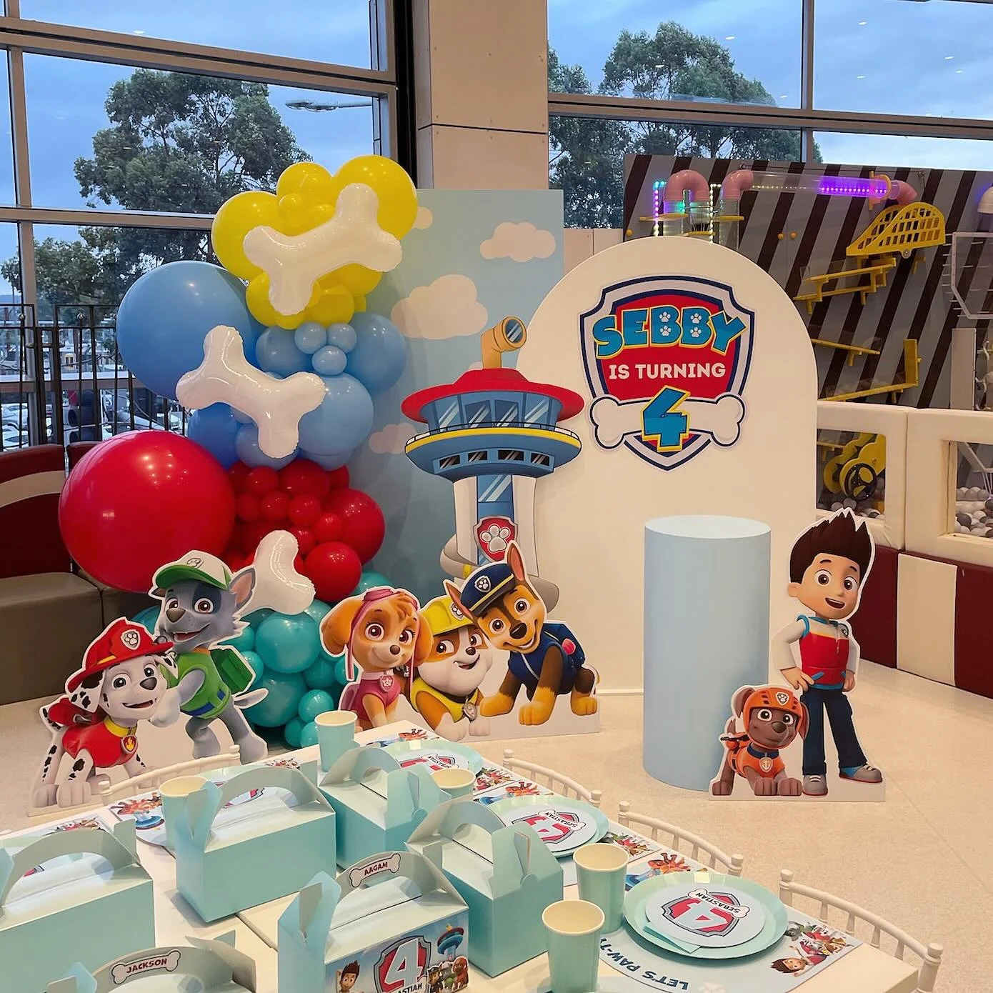 Sebby Is Turning 4 🐾