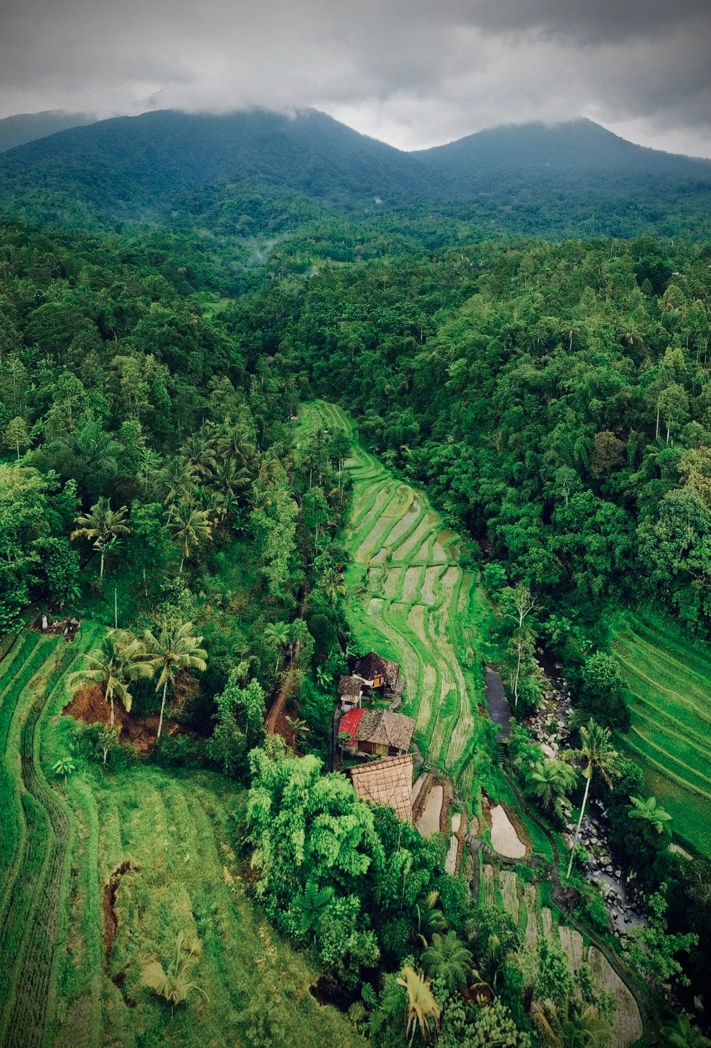 Jatiluwih Rice Terraces