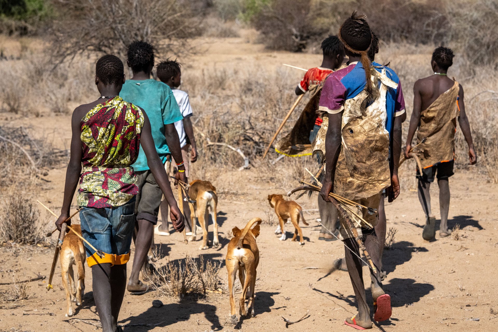 Group of people in traditional attire walking with dogs in a dry, desert-like landscape.